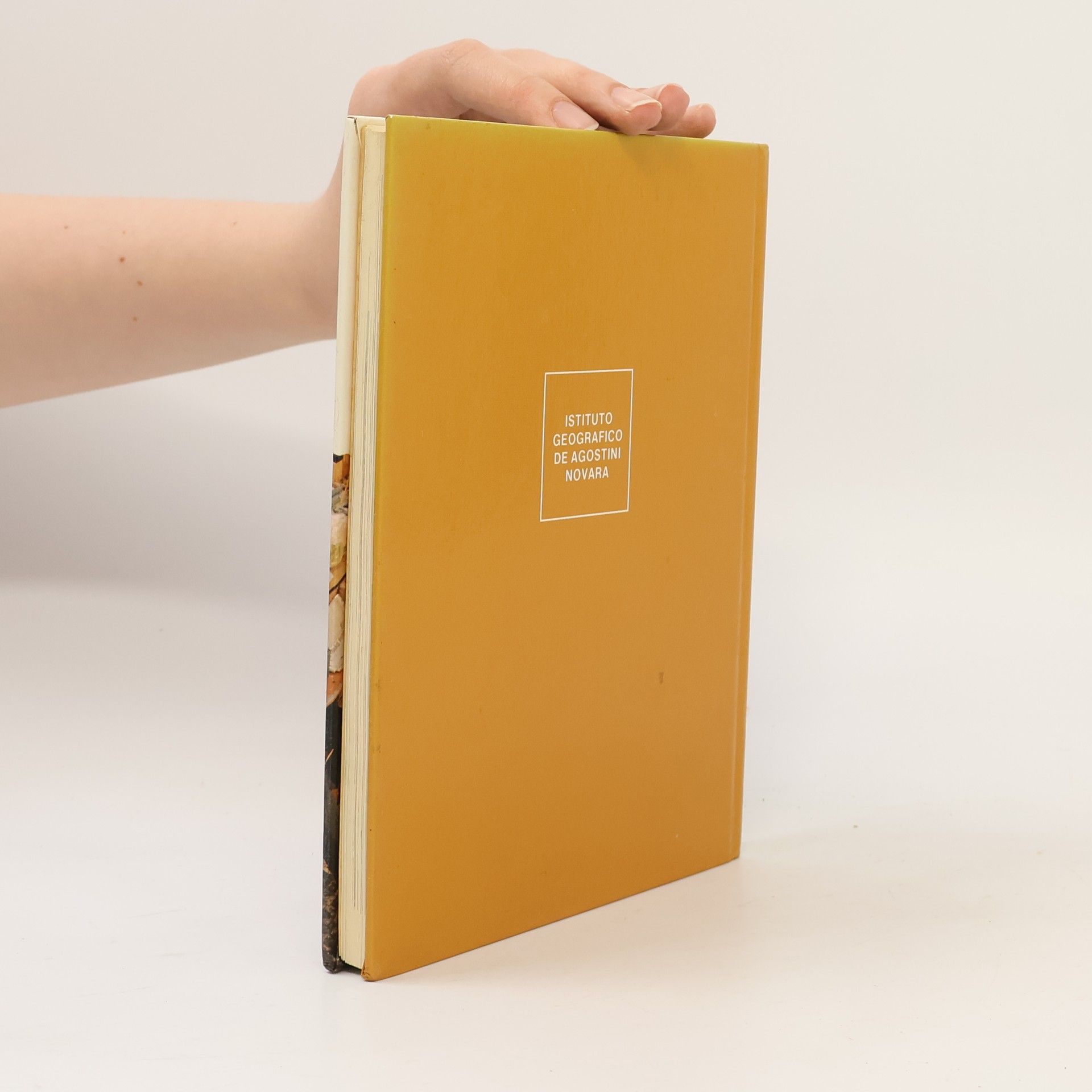 Autorenkollektiv L'inflazione