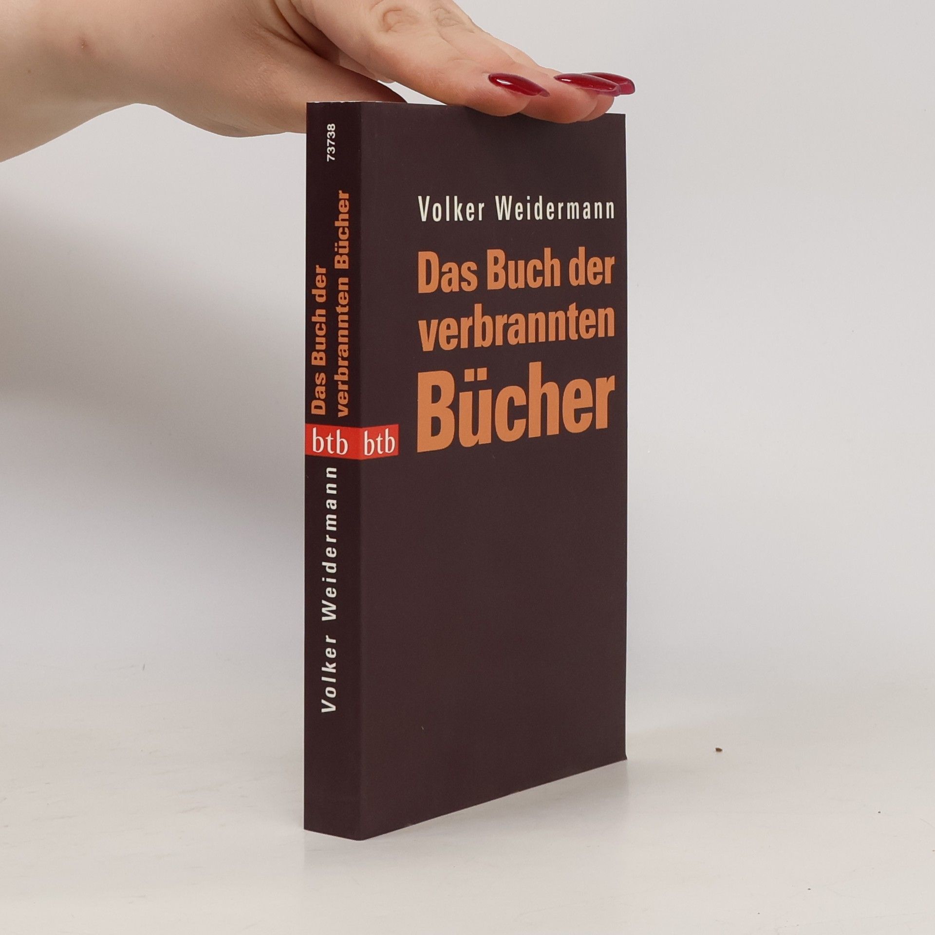 Volker Weidermann Das Buch der verbrannten Bücher