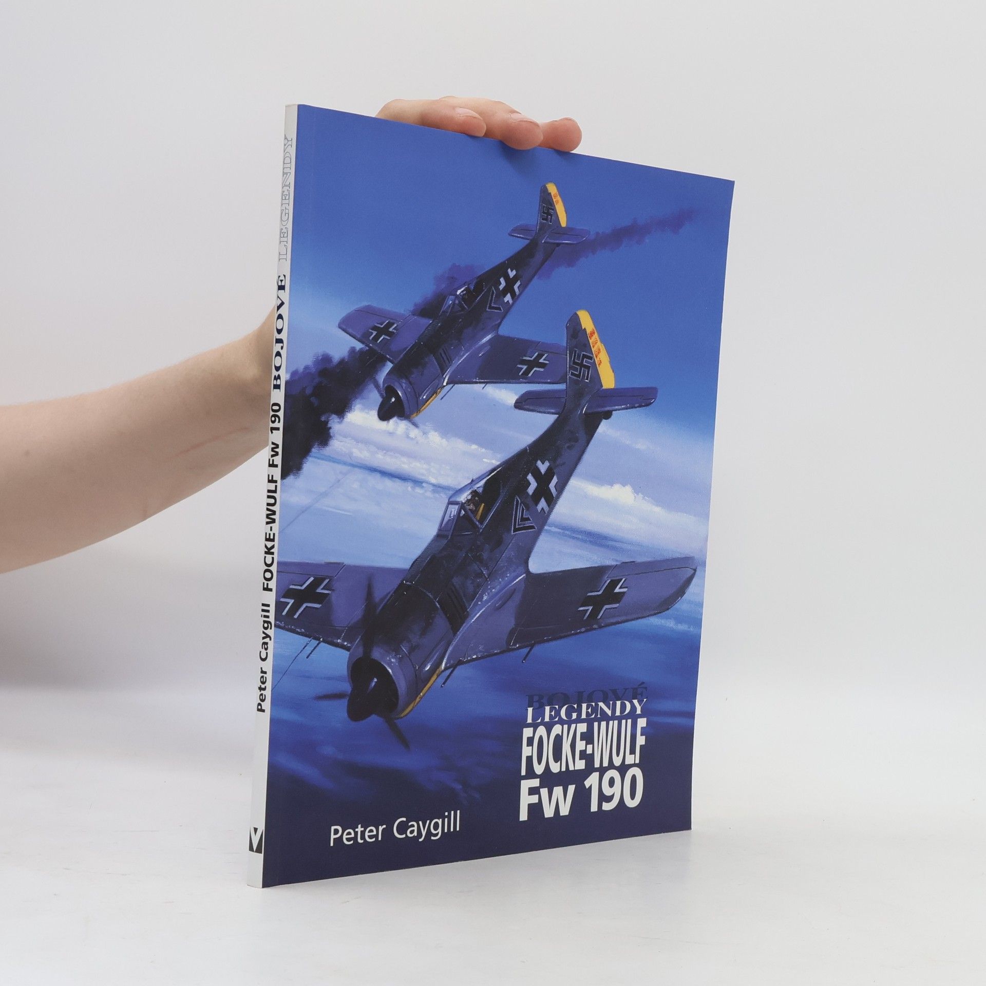Peter Caygill Focke-Wulf Fw 190