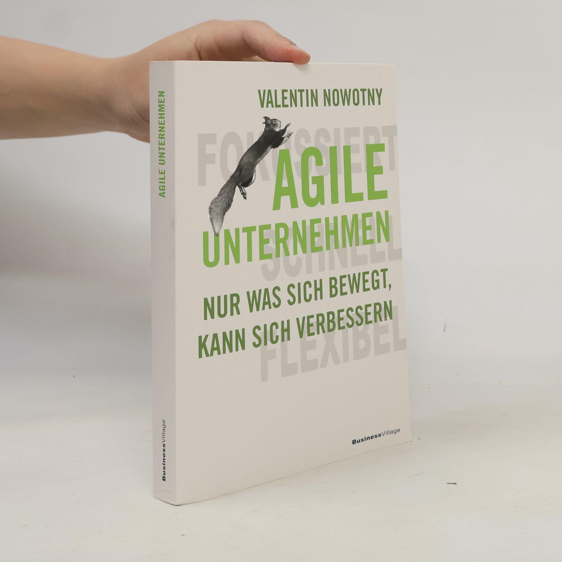 Valentin Nowotny Agile Unternehmen
