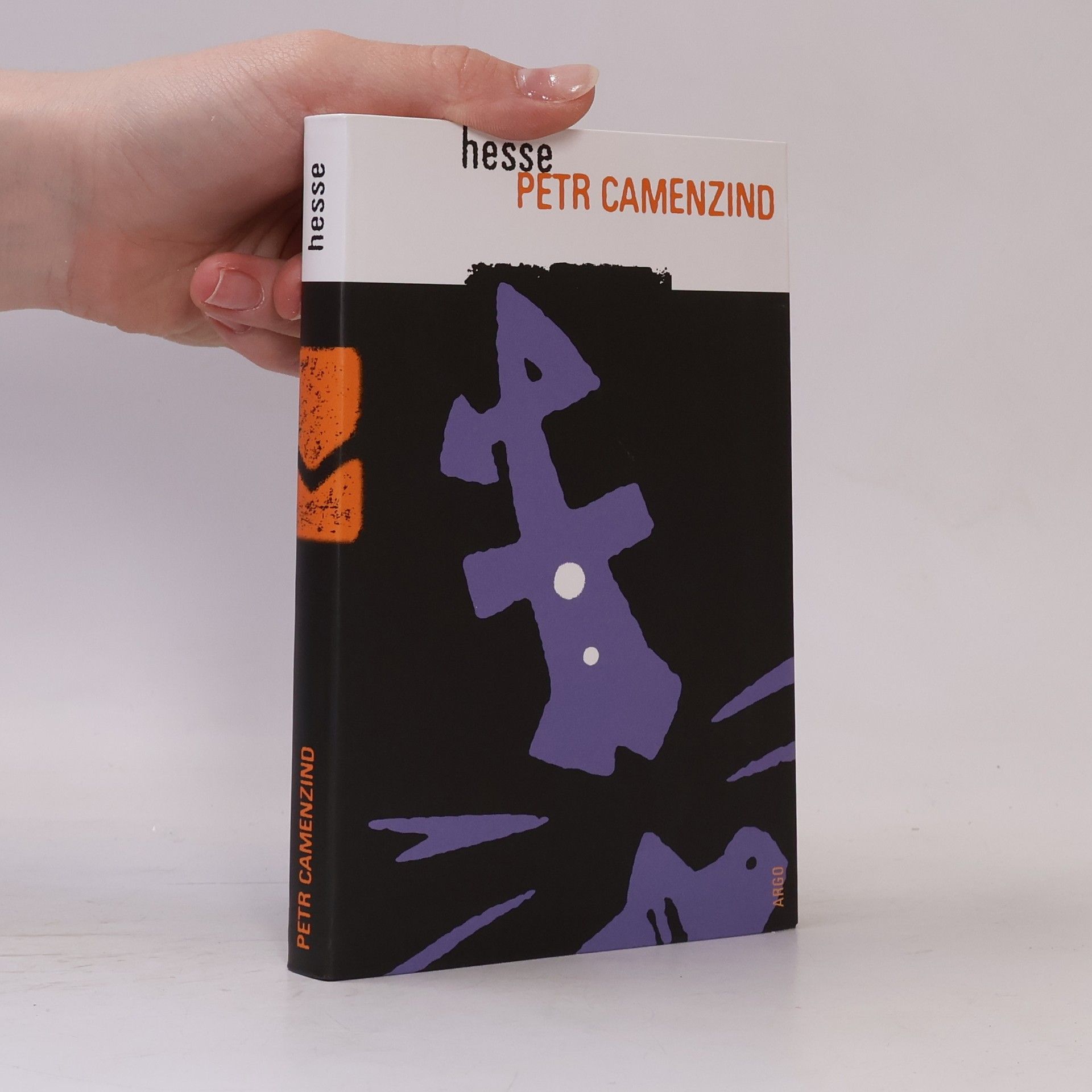Hermann Hesse Petr Camenzind