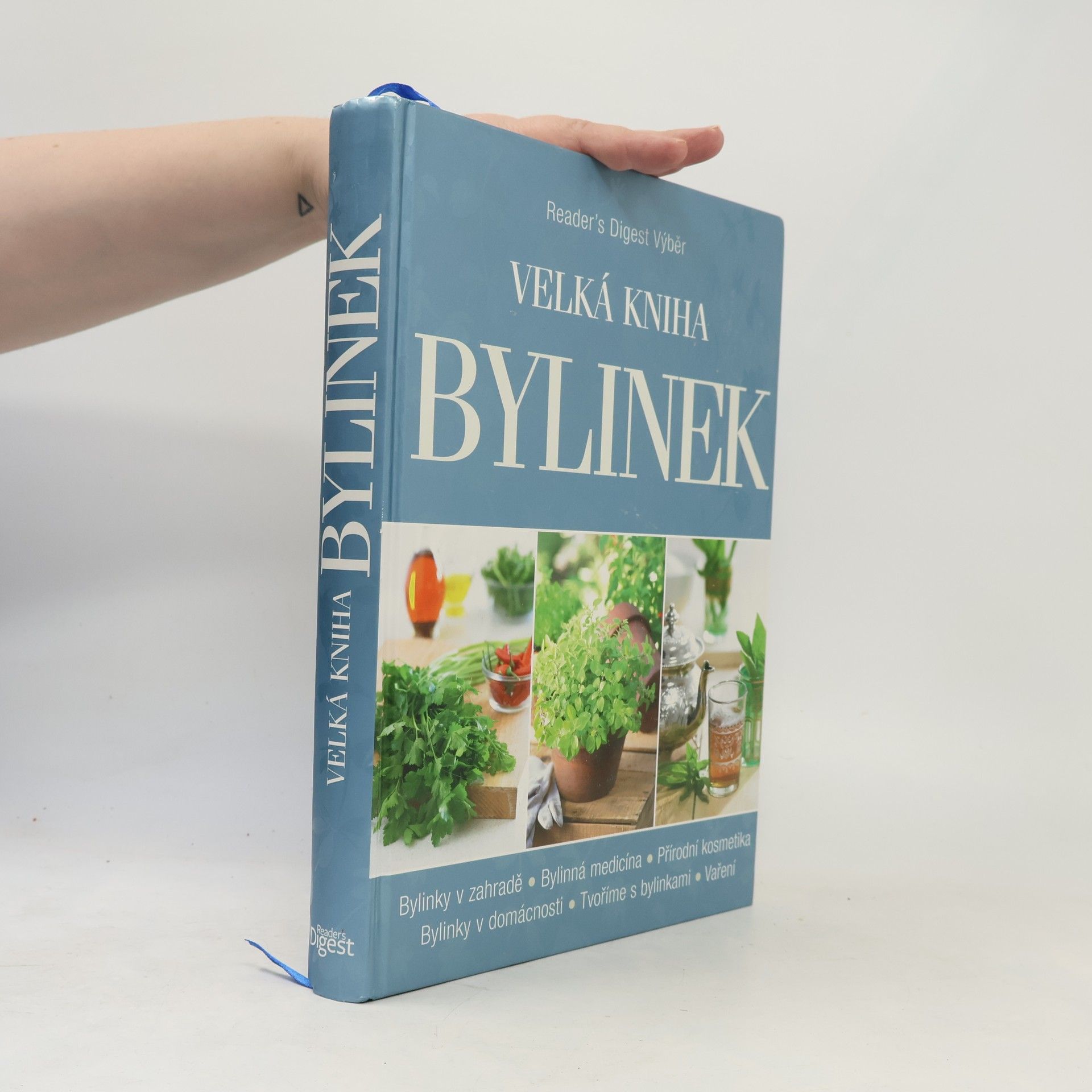 Pamela Allardice Velká kniha bylinek
