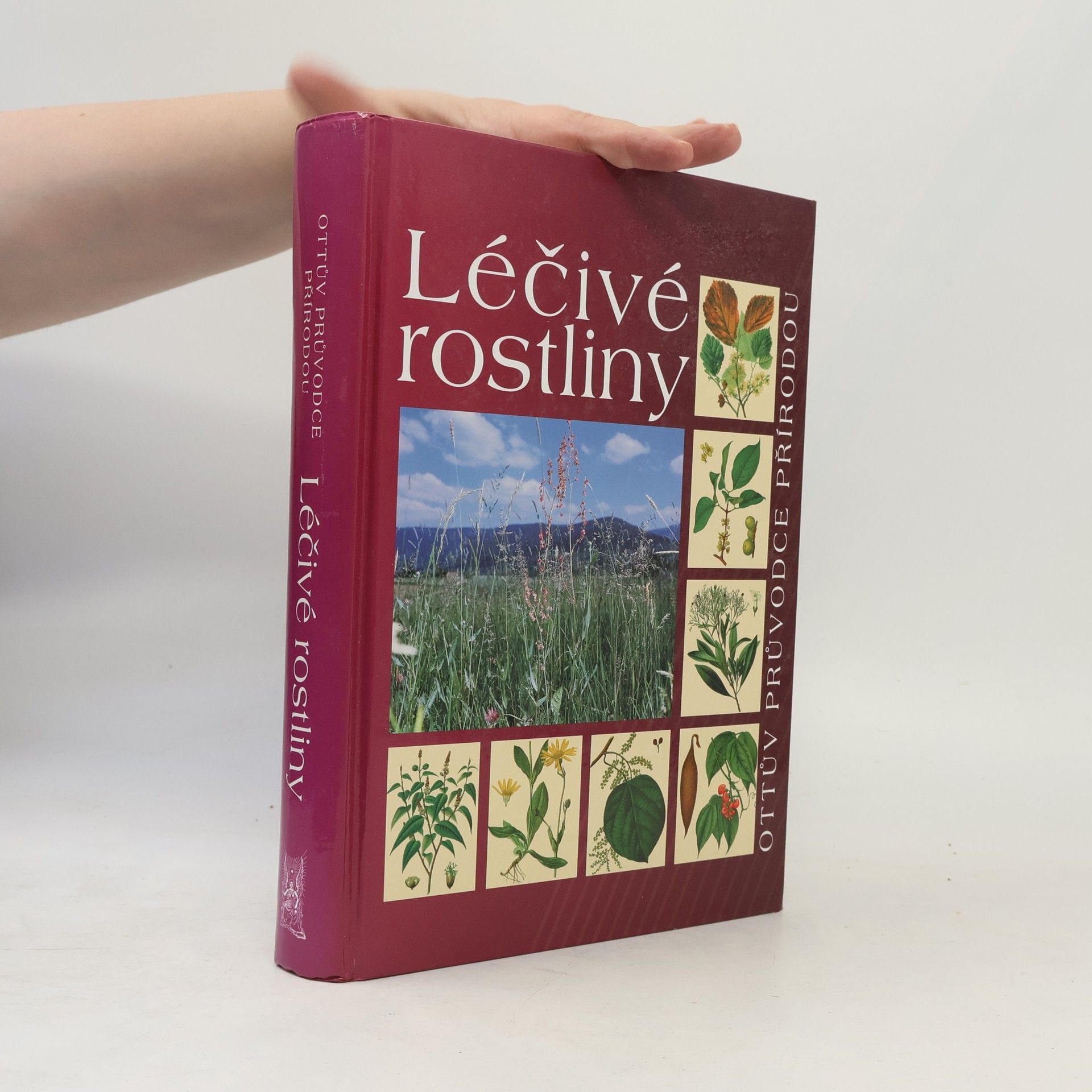 Peter Schönfelder Léčivé rostliny