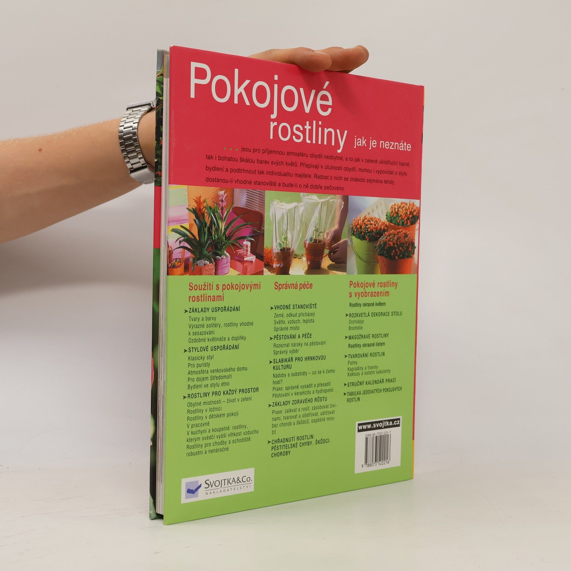 Karin Greiner Pokojové rostliny jak je neznáte