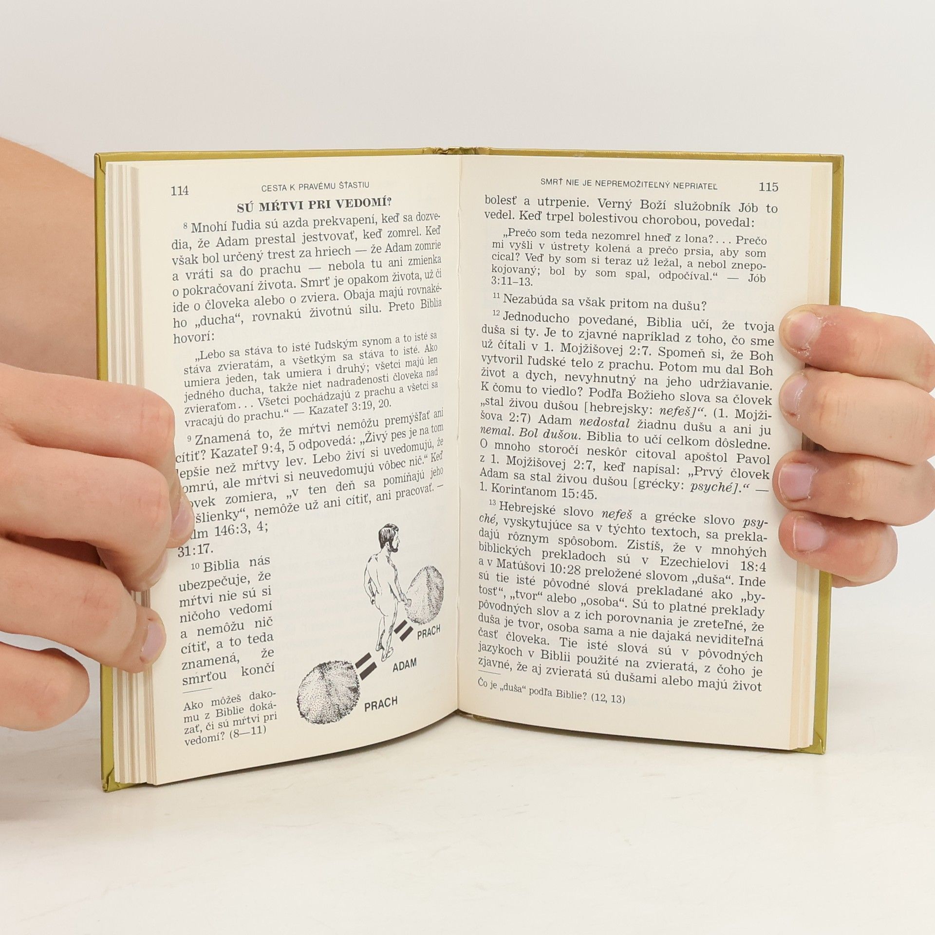 Autorenkollektiv Cesta k pravému šťastiu