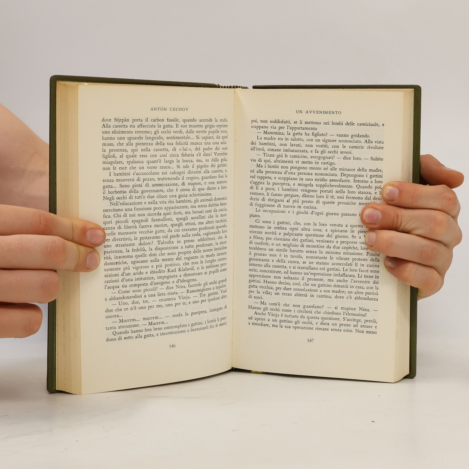 Anton Pawlowitsch Tschechow Una storia noiosa