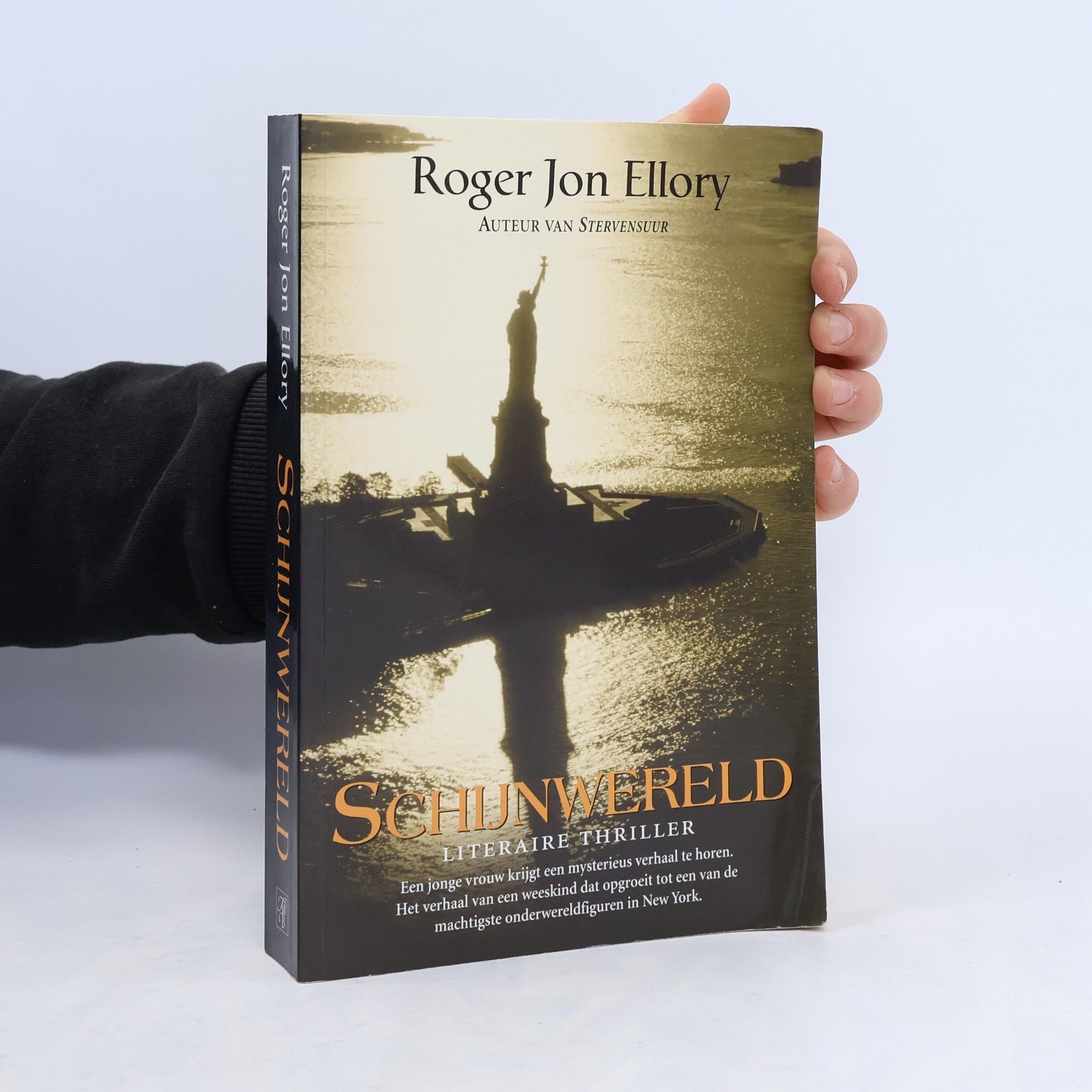 Roger Jon Ellory Schijnwereld