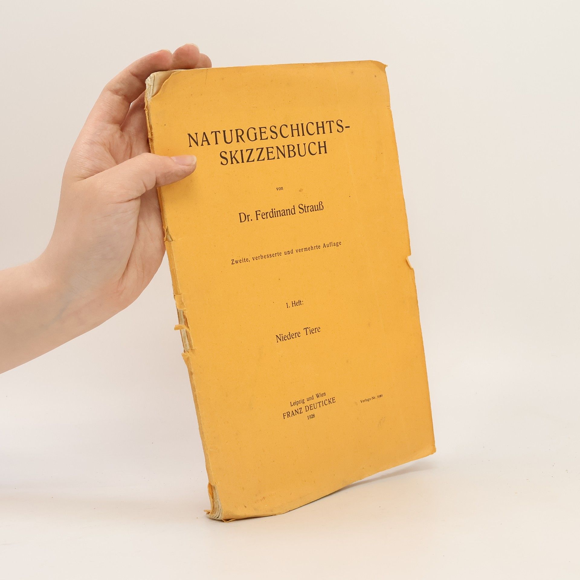 Naturgeschichts-Skizzenbuch, 1. Heft: Niedere Tiere