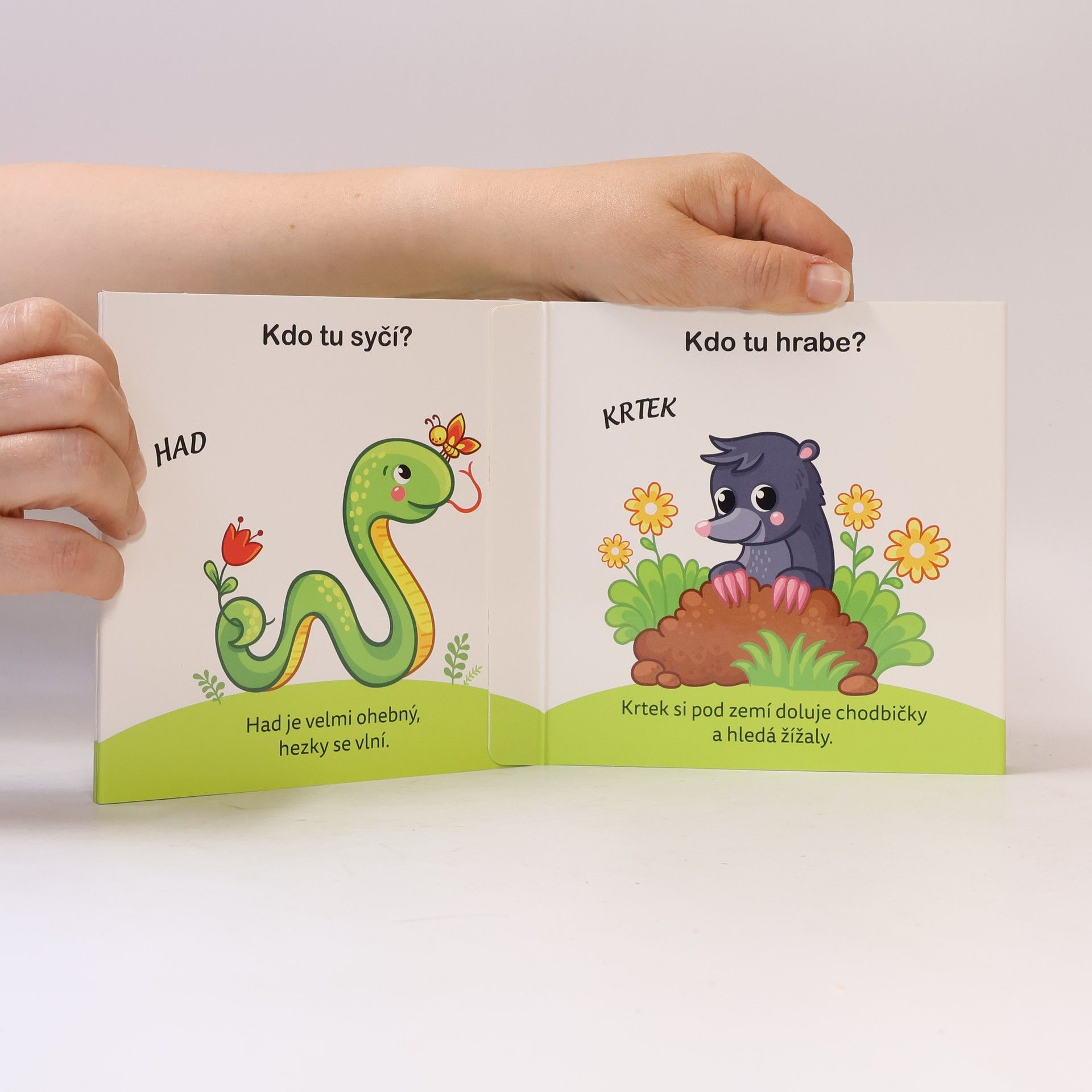 Autorenkollektiv Dlouhé leporelo - Kdo tu dupe?