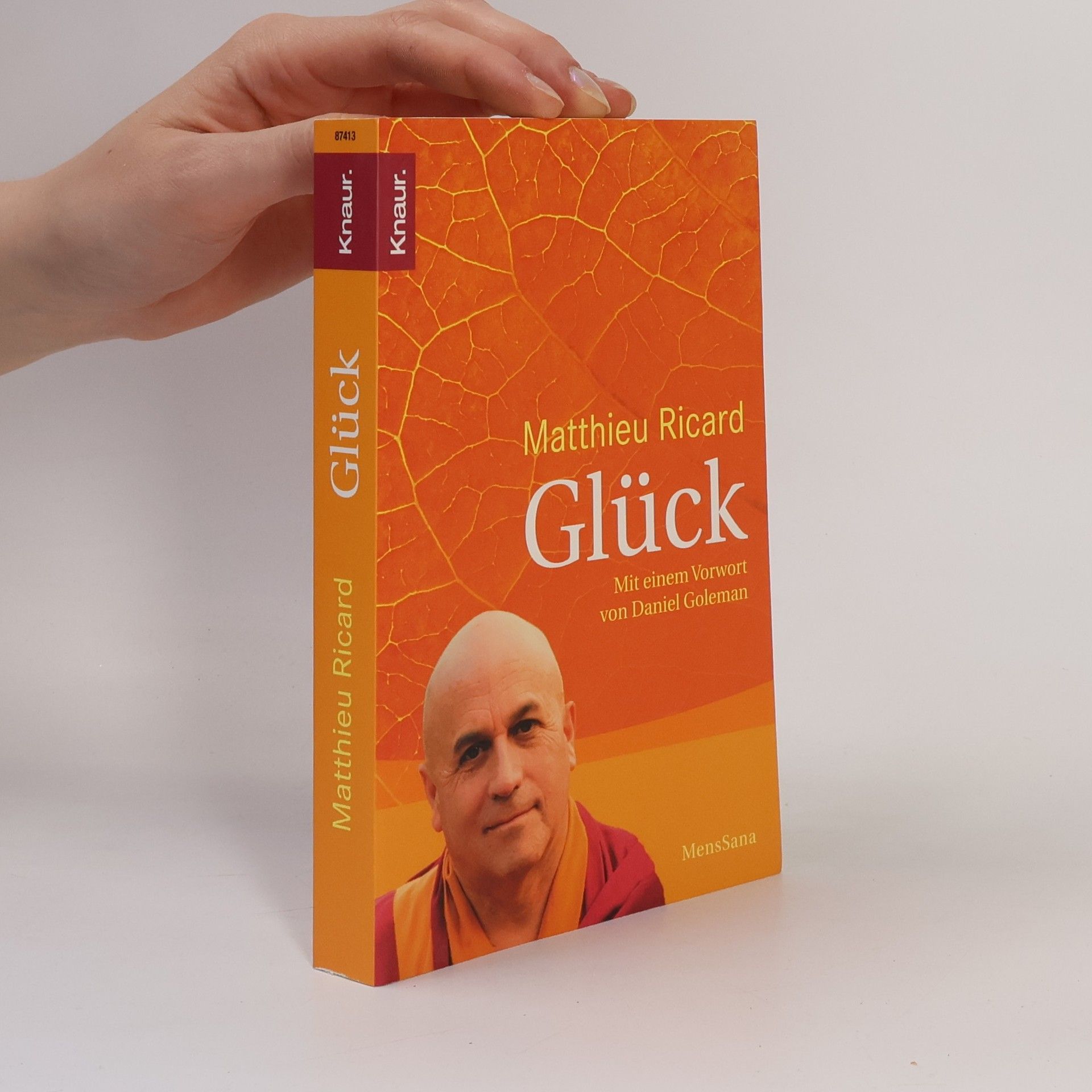 Matthieu Ricard Glück