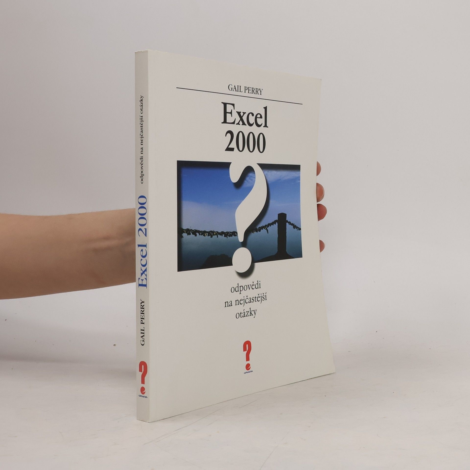 Gail Perry Excel 2000 : odpovědi na nejčastější otázky