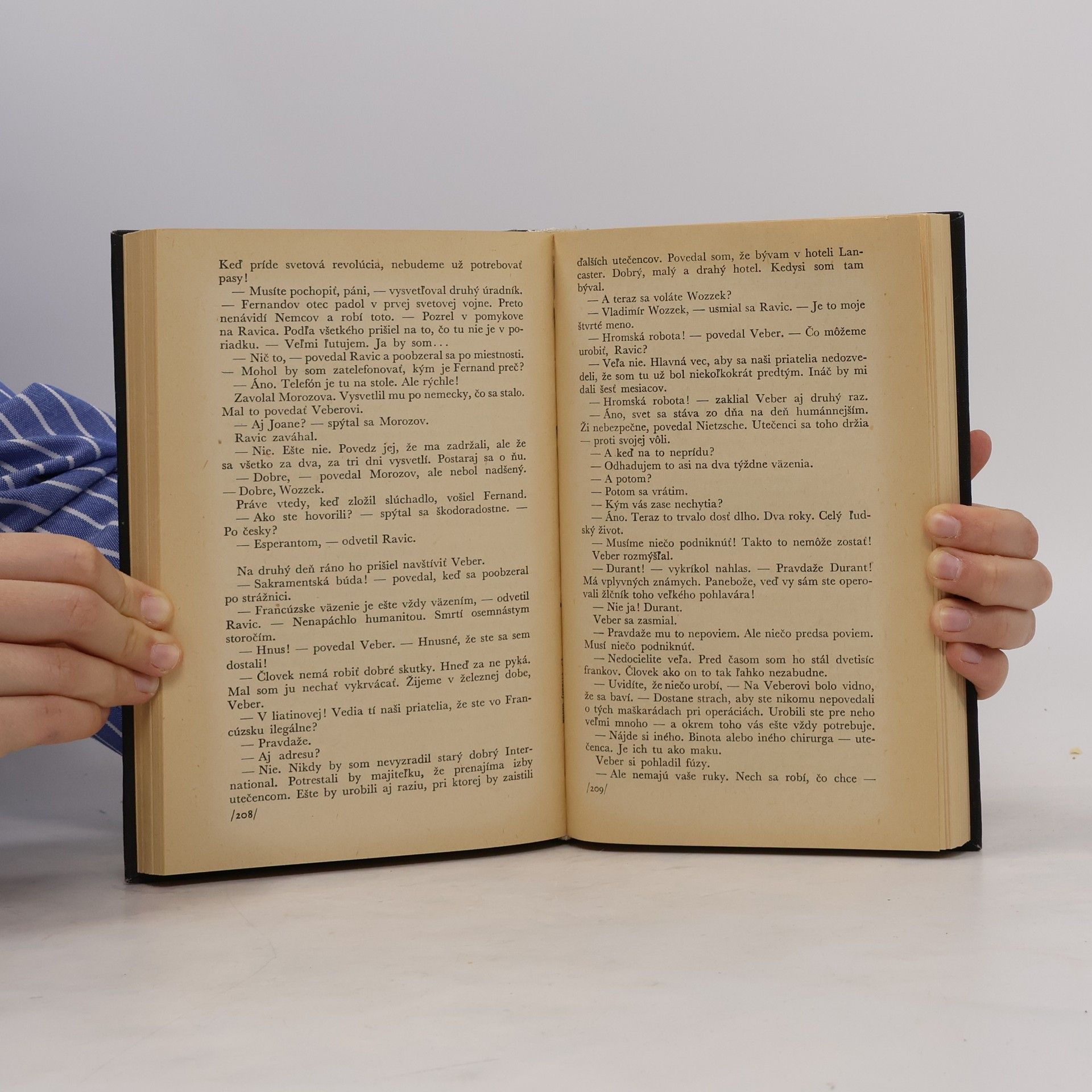 Erich Maria Remarque Víťazný oblúk