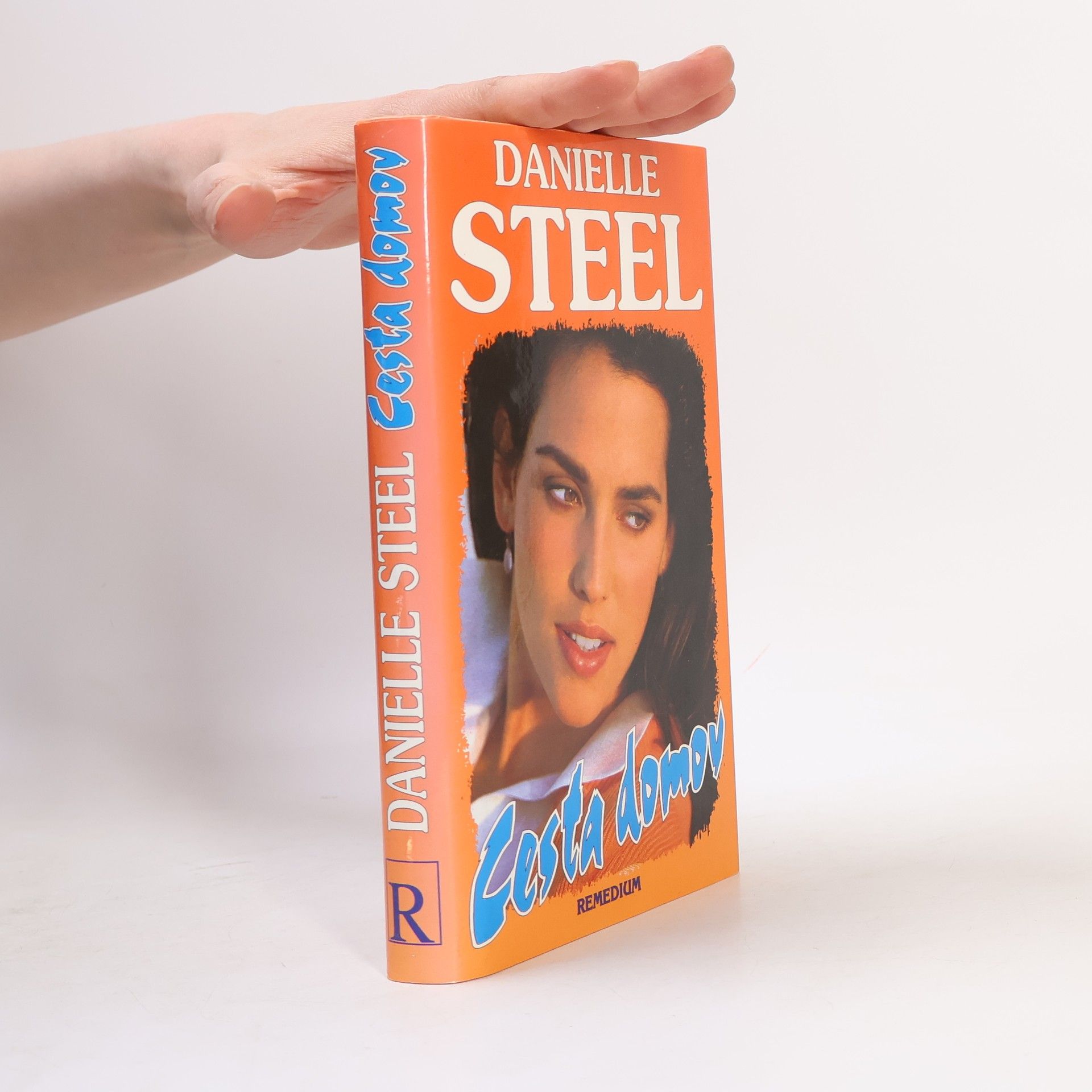 Danielle Steel Cesta domov