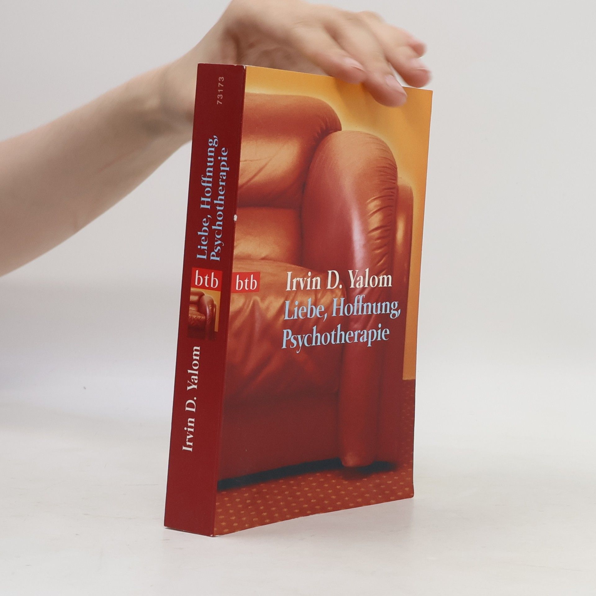 Irvin Yalom Liebe, Hoffnung, Psychotherapie
