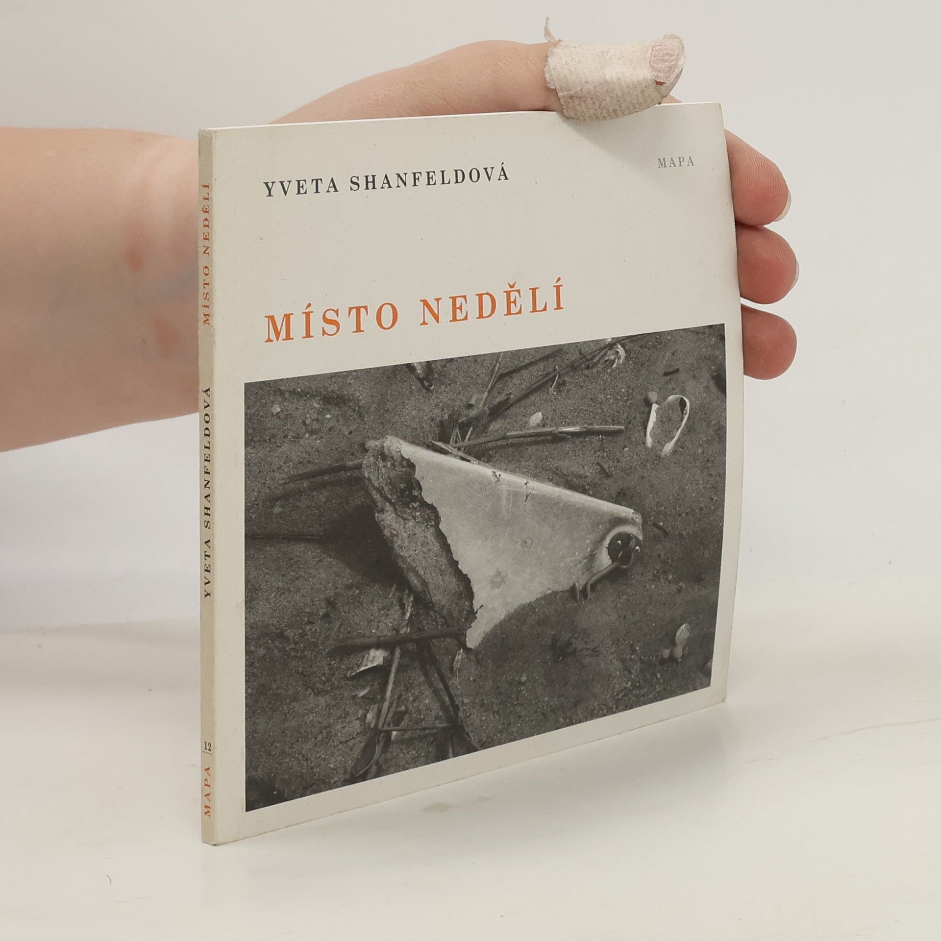 Yveta Shanfeldová Místo nedělí