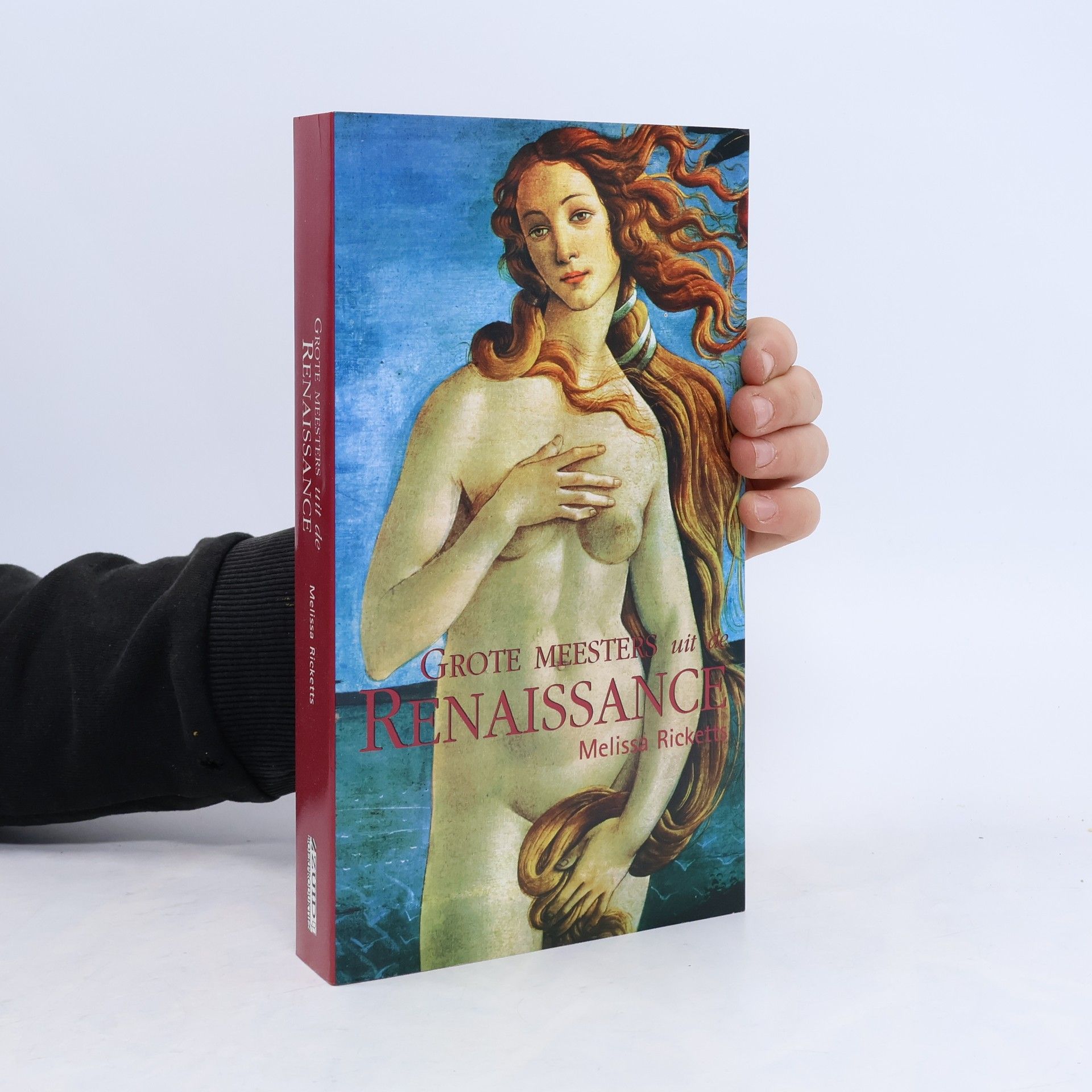 Hans van Brandwijk Grote meesters uit de Renaissance