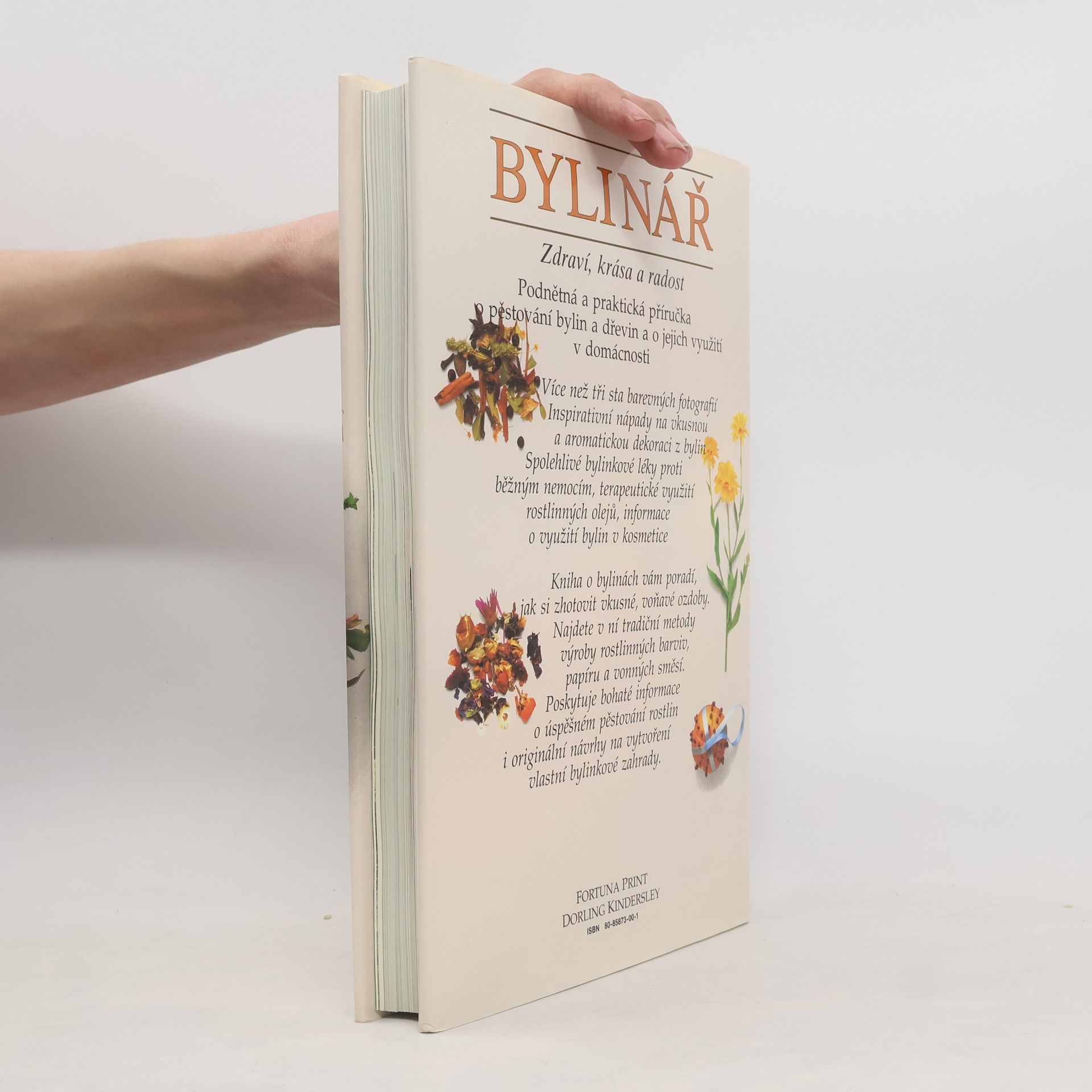 Lesley Bremness Bylinář : Zdraví, krása, radost