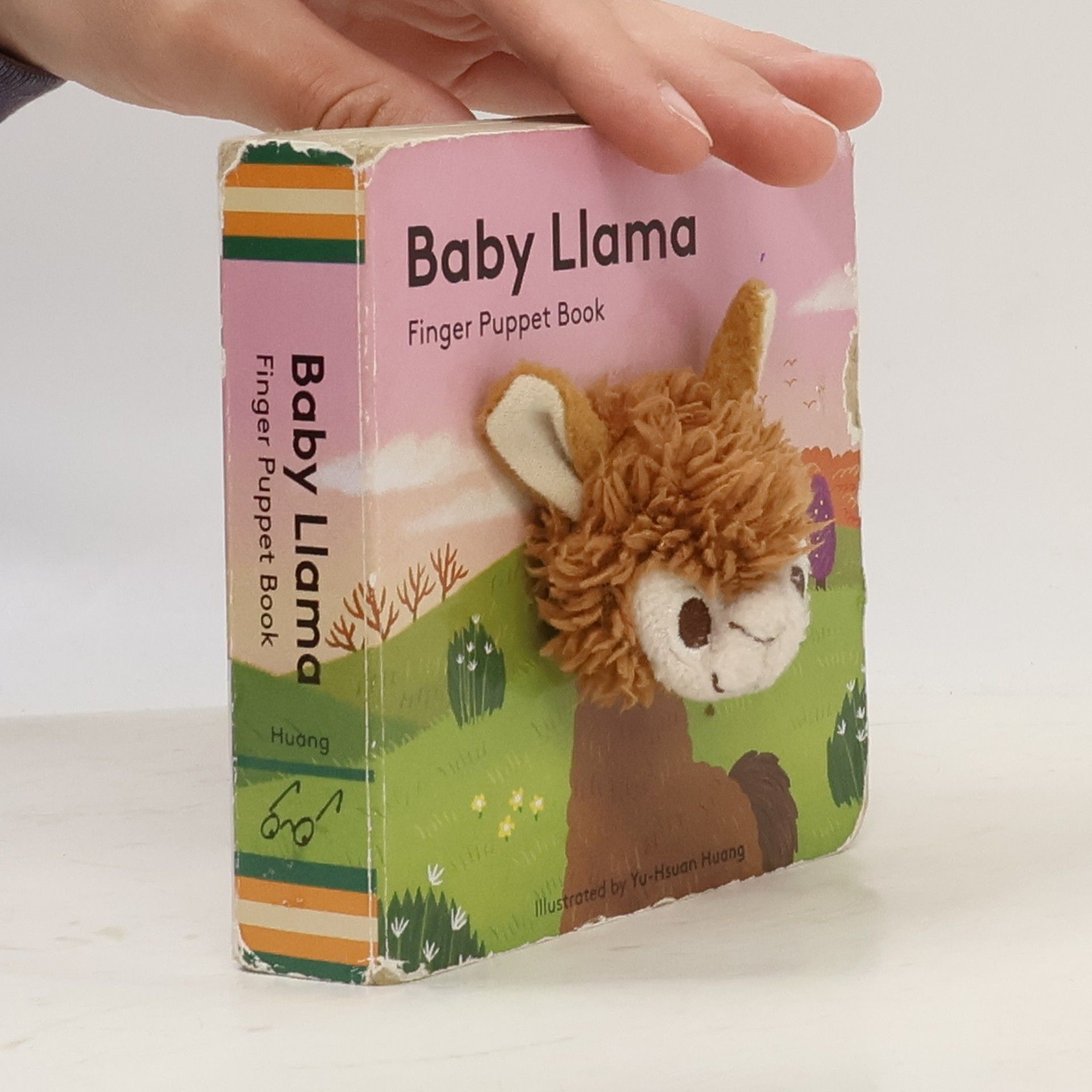 Autorenkollektiv Baby Llama
