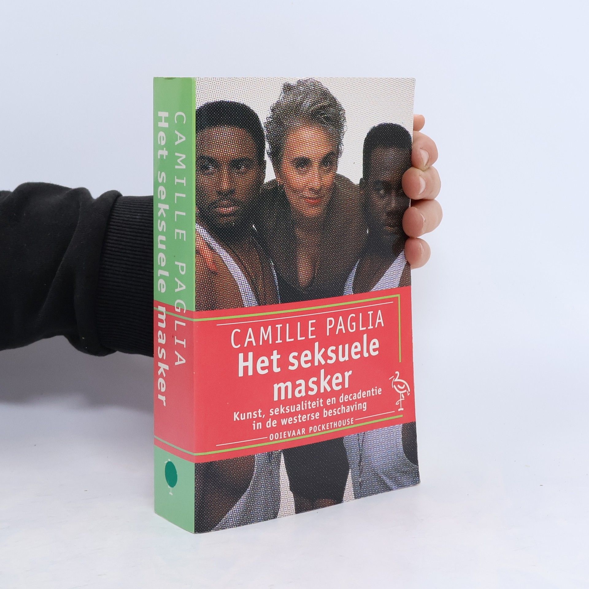 Het seksuele masker: kunst, seksualiteit en decadentie in de westerse beschaving