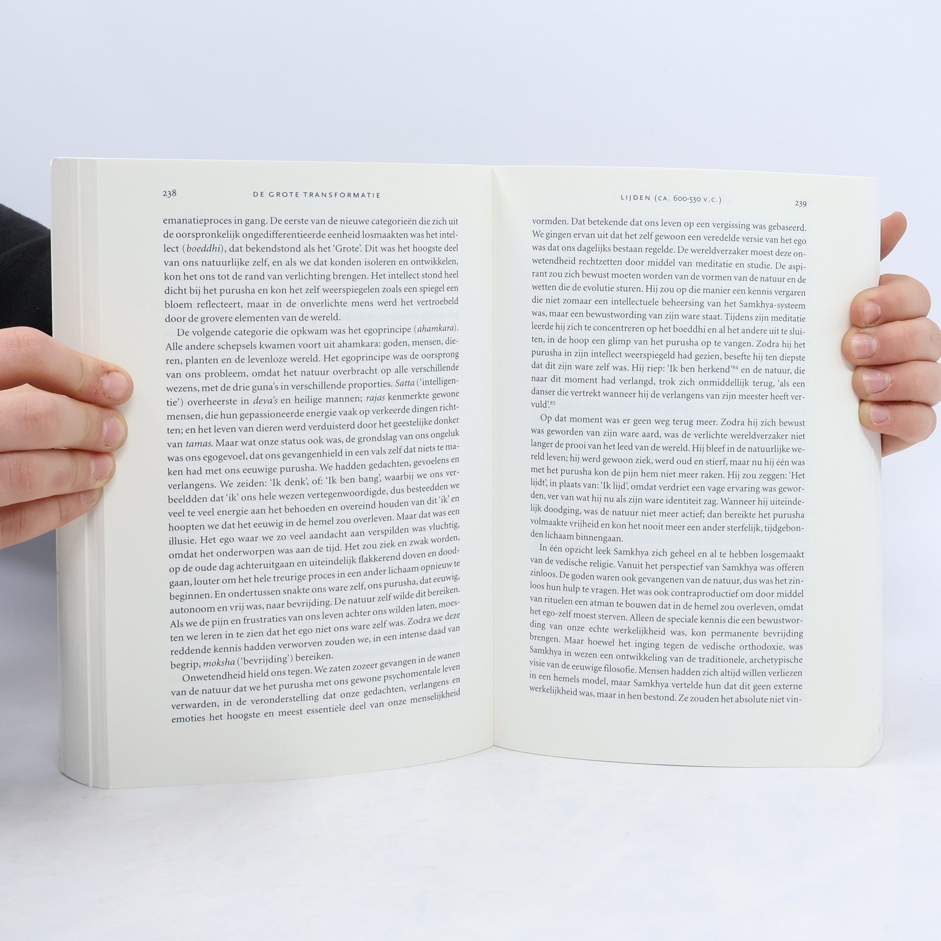 Karen Armstrong De grote transformatie