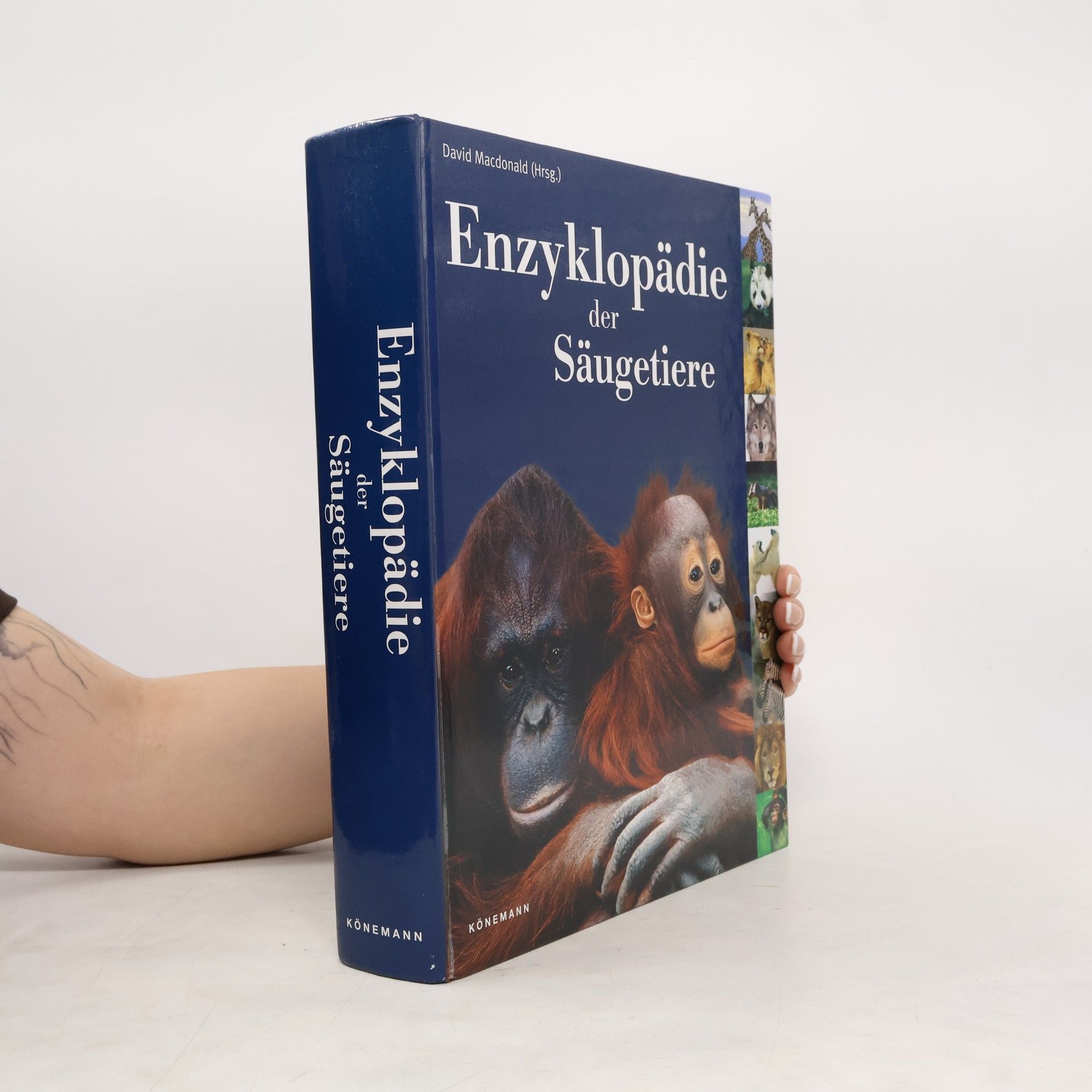 David Macdonald Enzyklopädie der Säugetiere