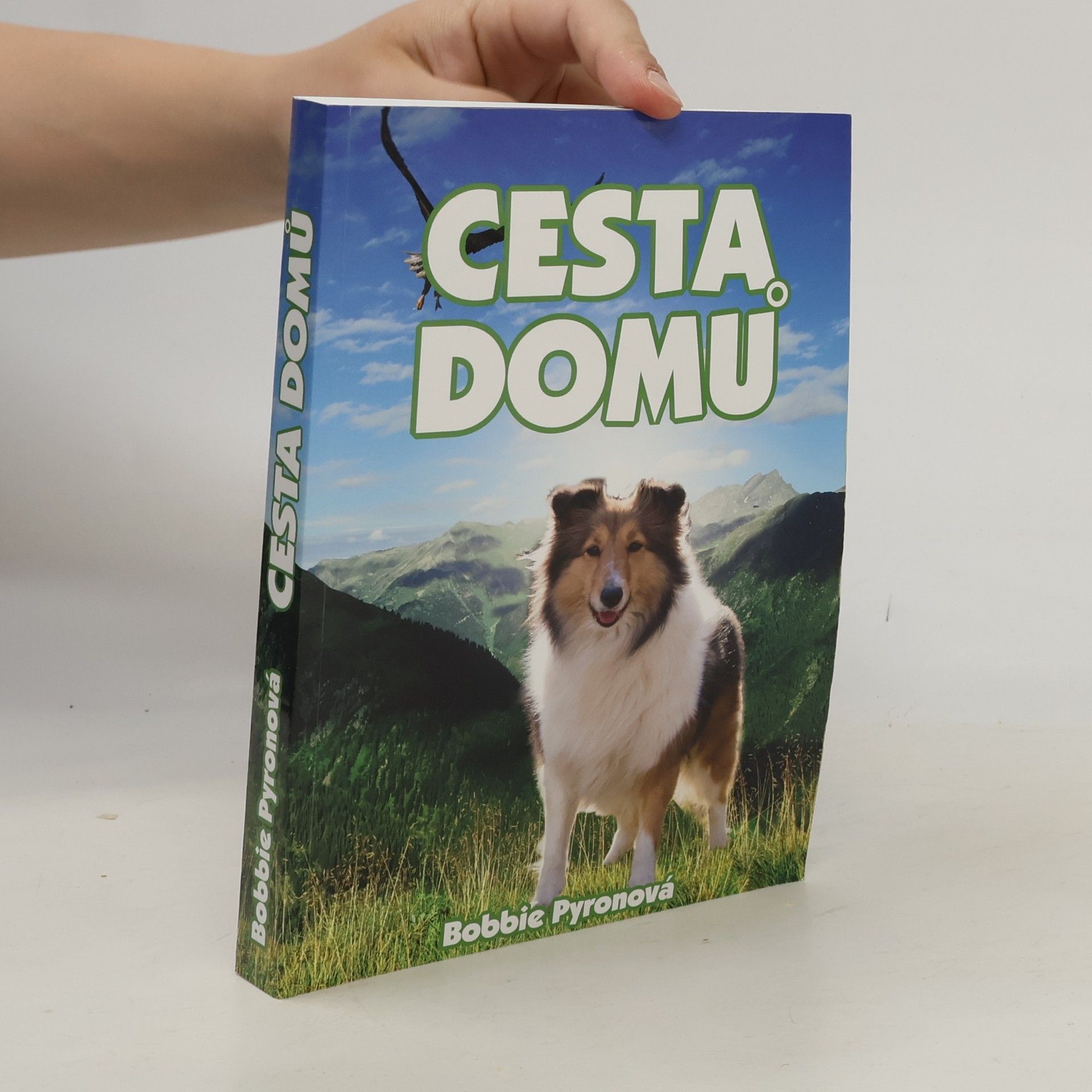 Bobbie Pyron Cesta domů