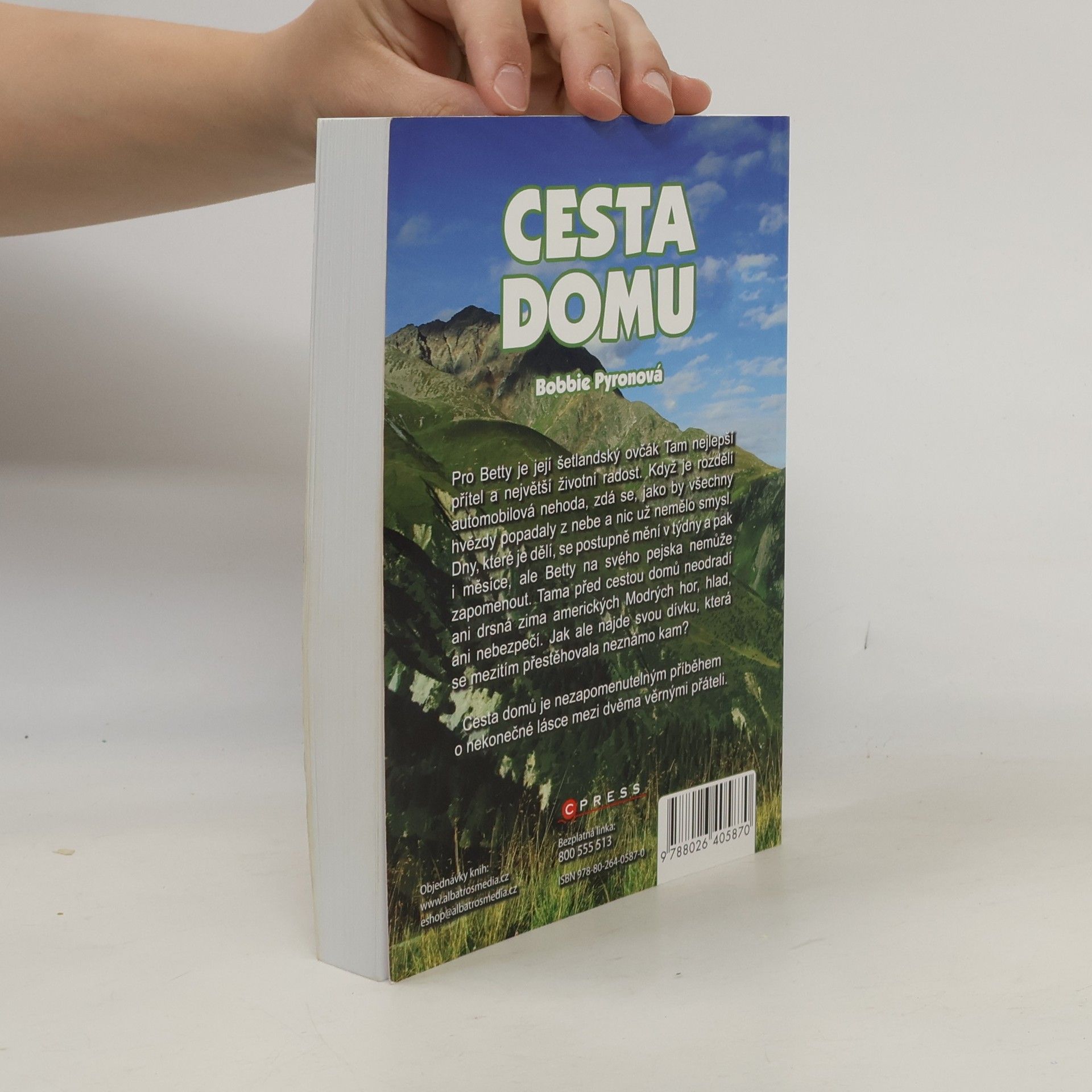 Bobbie Pyron Cesta domů