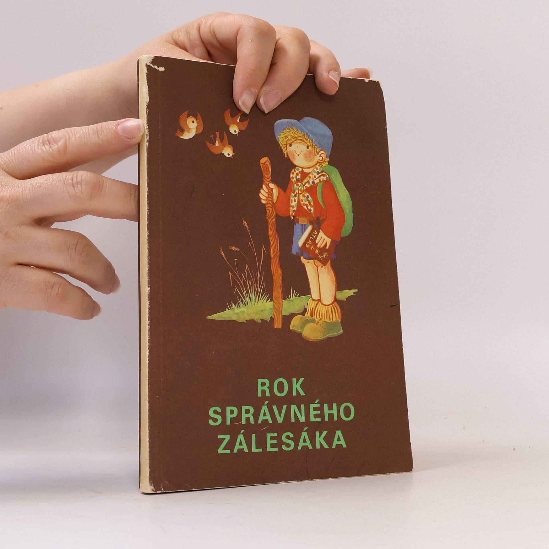 Plicková Edita Rok správného zálesáka