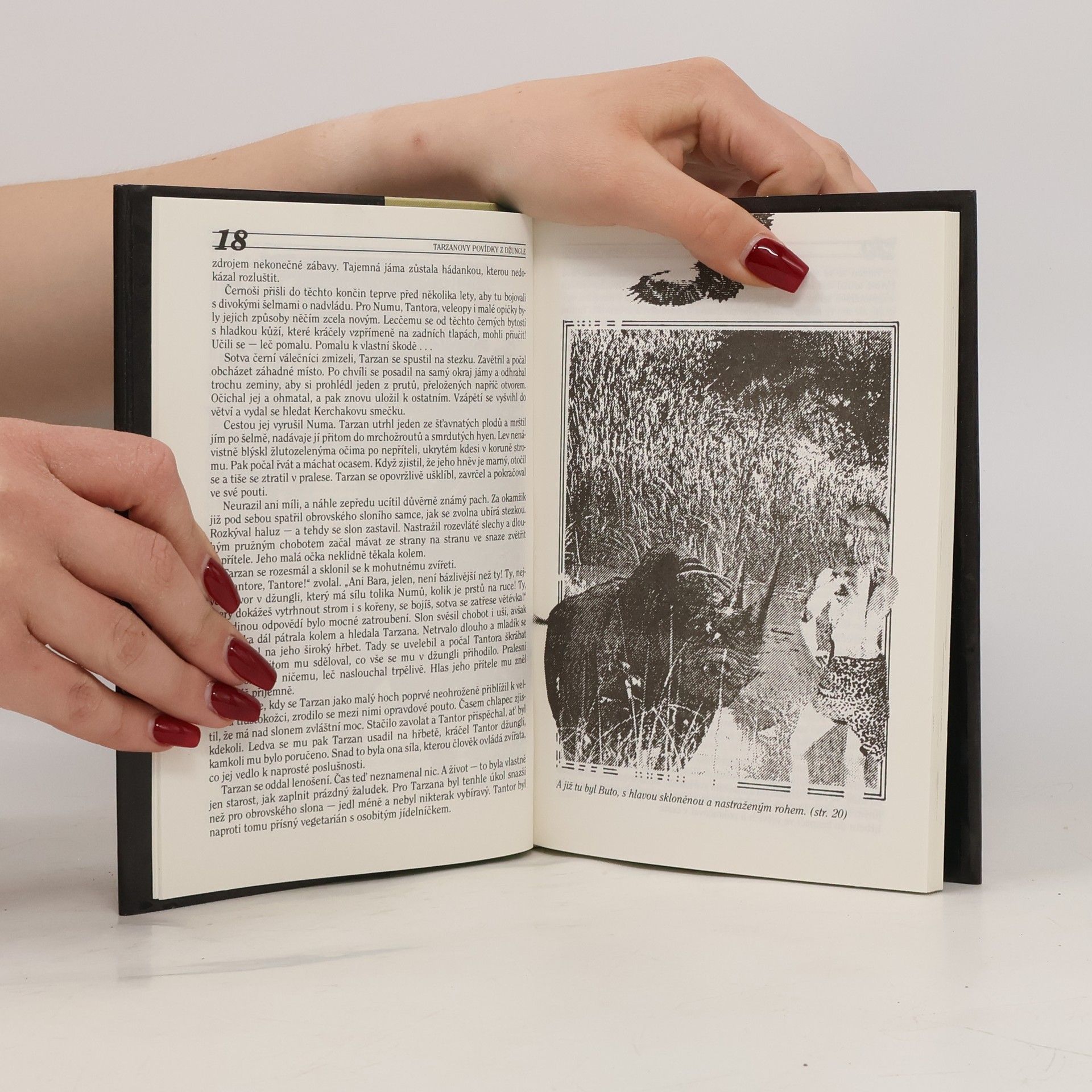 Edgar Rice Burroughs Tarzanovy povídky z džungle