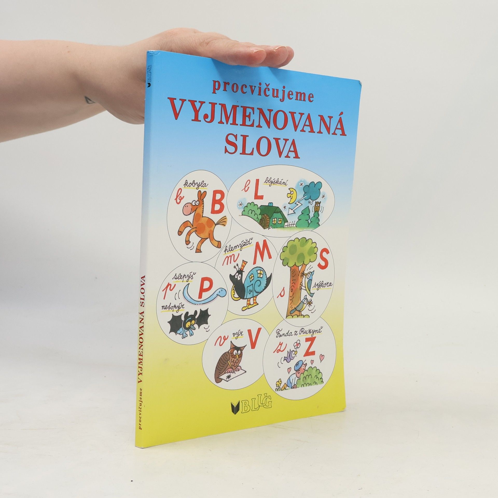 Dana Sklenářová Procvičujeme vyjmenovaná slova - hrajeme si