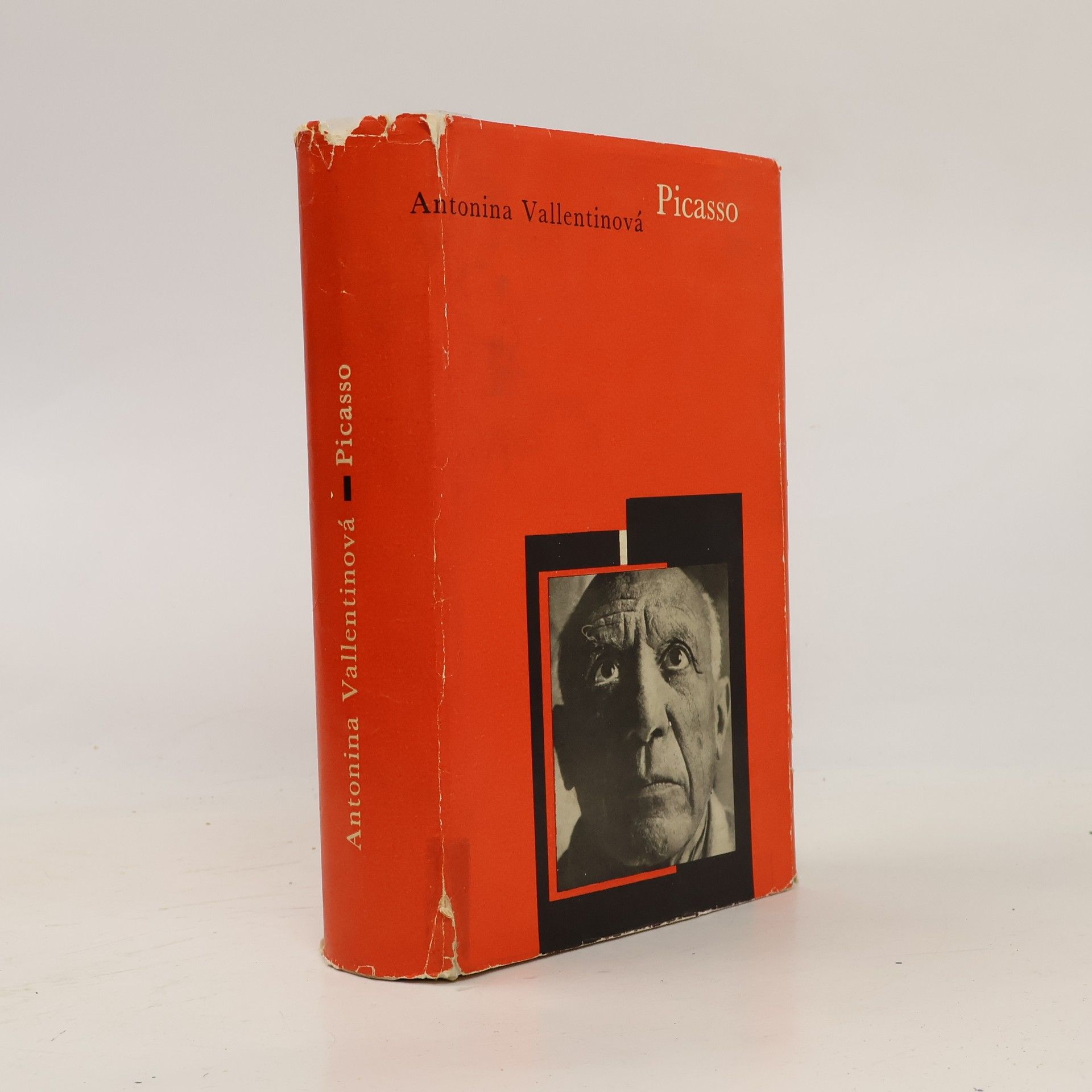 Antonina Vallentin Picasso