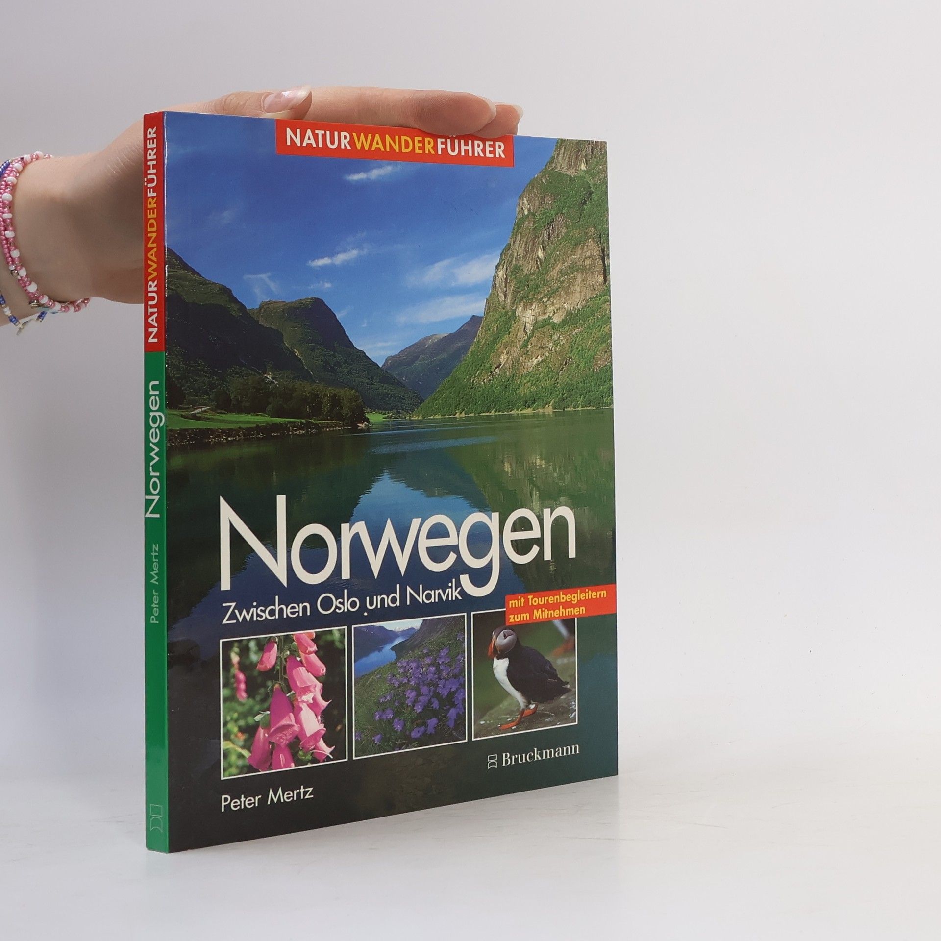 Peter Mertz Norwegen