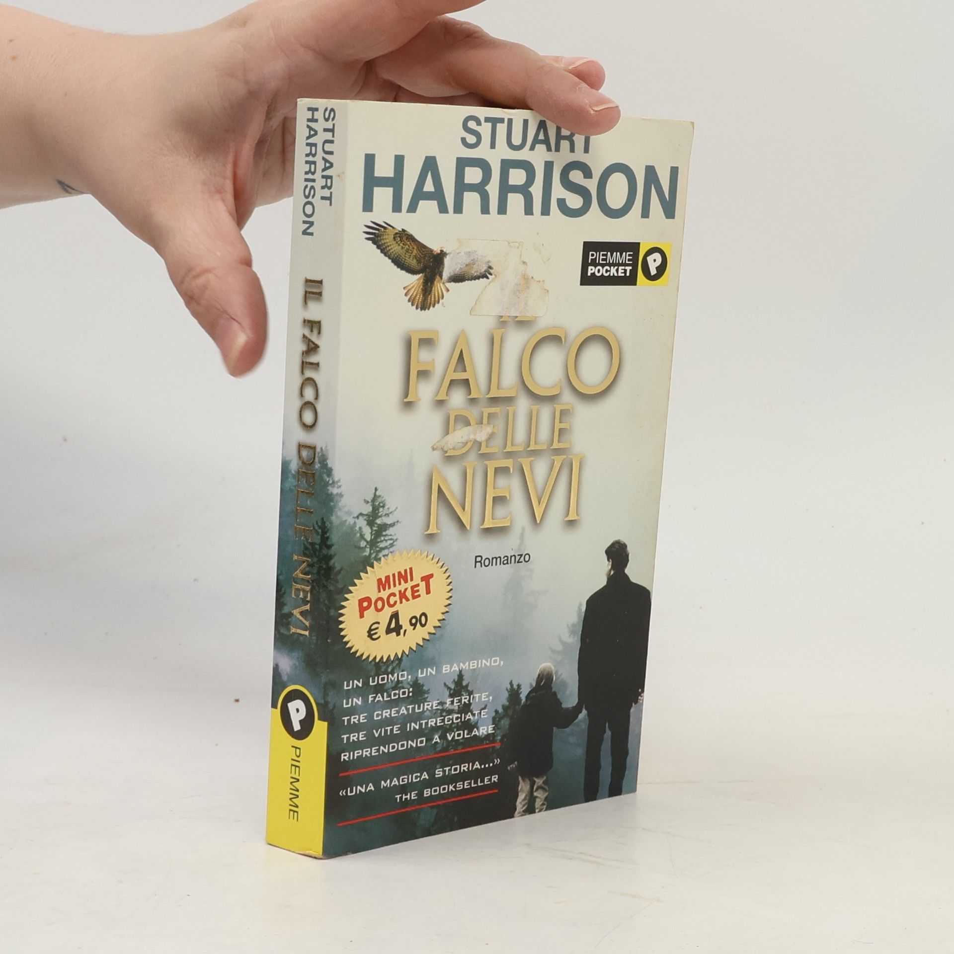 Il falco delle nevi