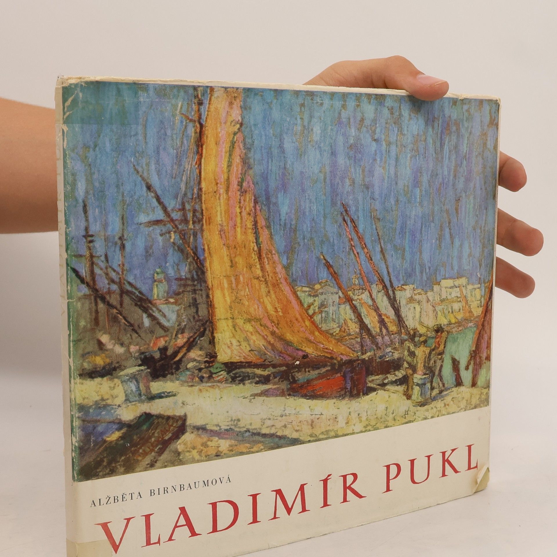 Alžběta Birnbaumová Vladimír Pukl. Monografie