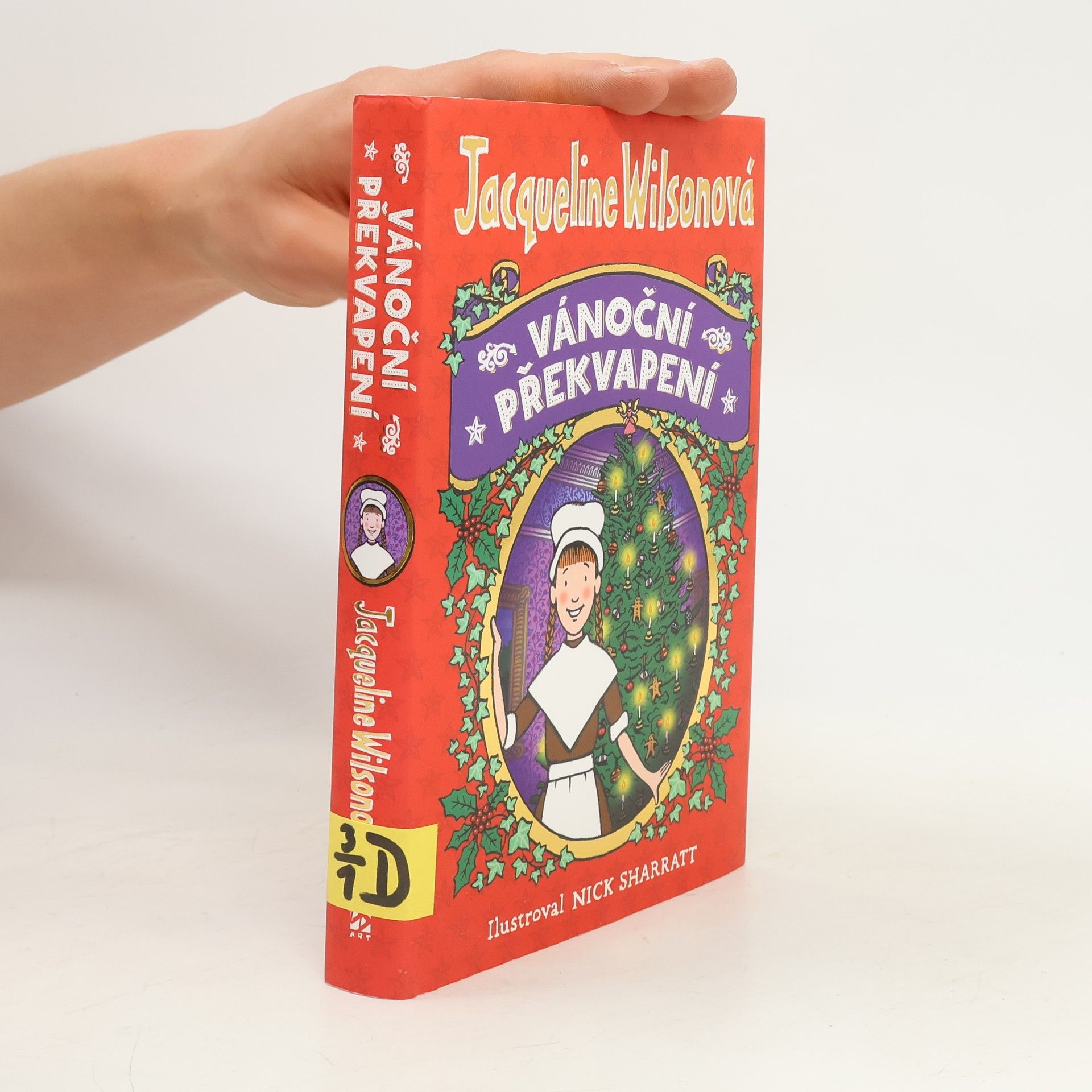 Jacqueline Wilson Vánoční překvapení