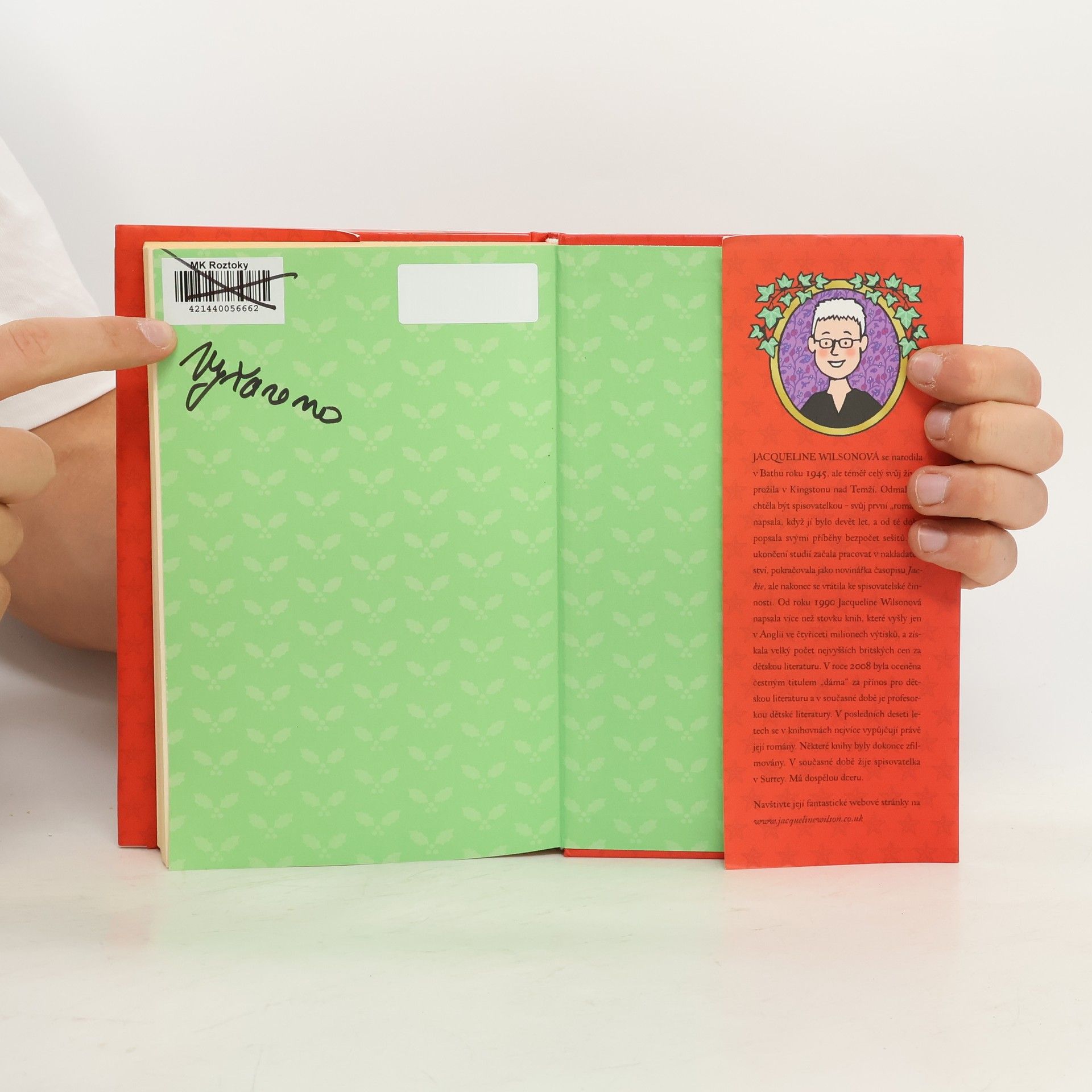 Jacqueline Wilson Vánoční překvapení