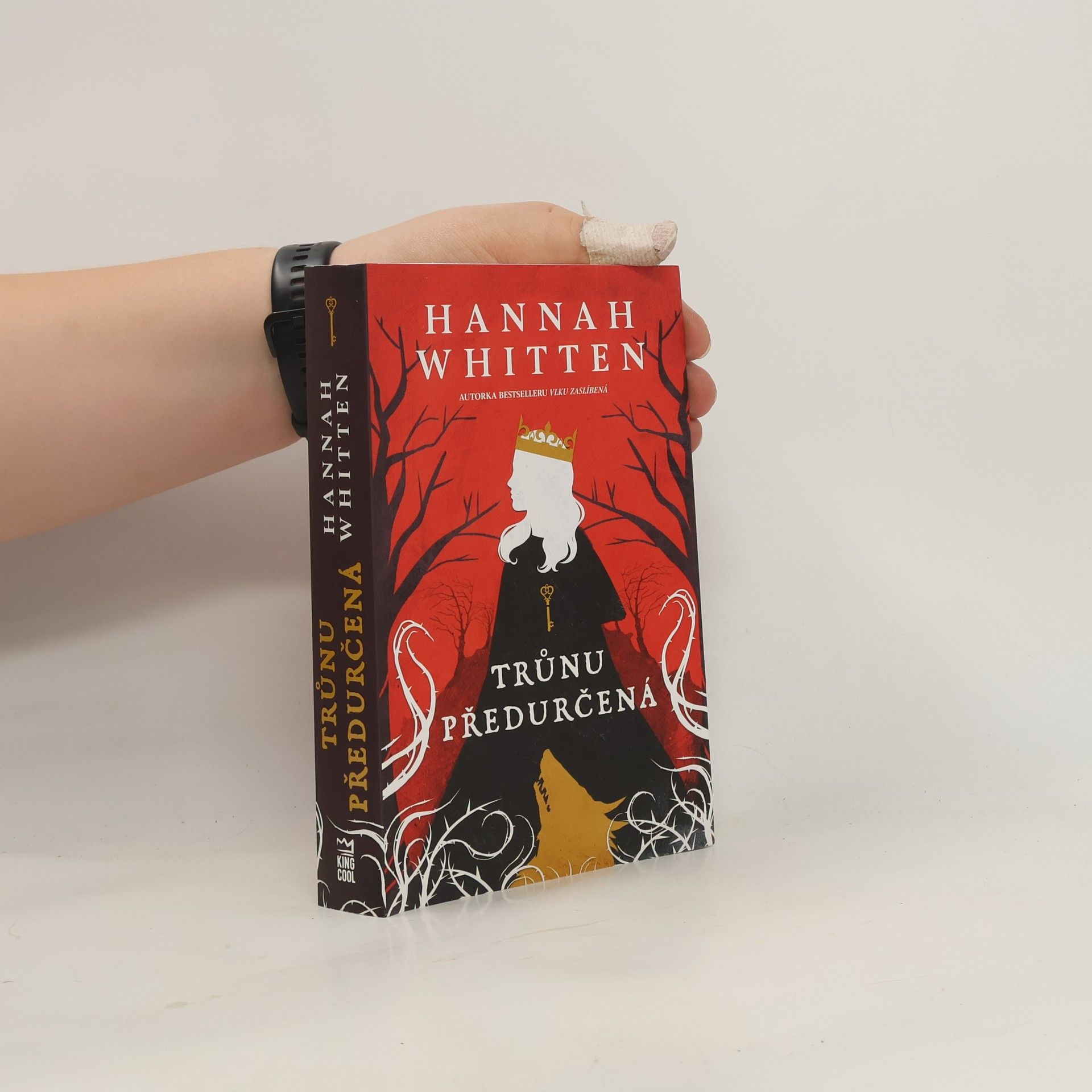 Hannah Whitten Trůnu předurčená