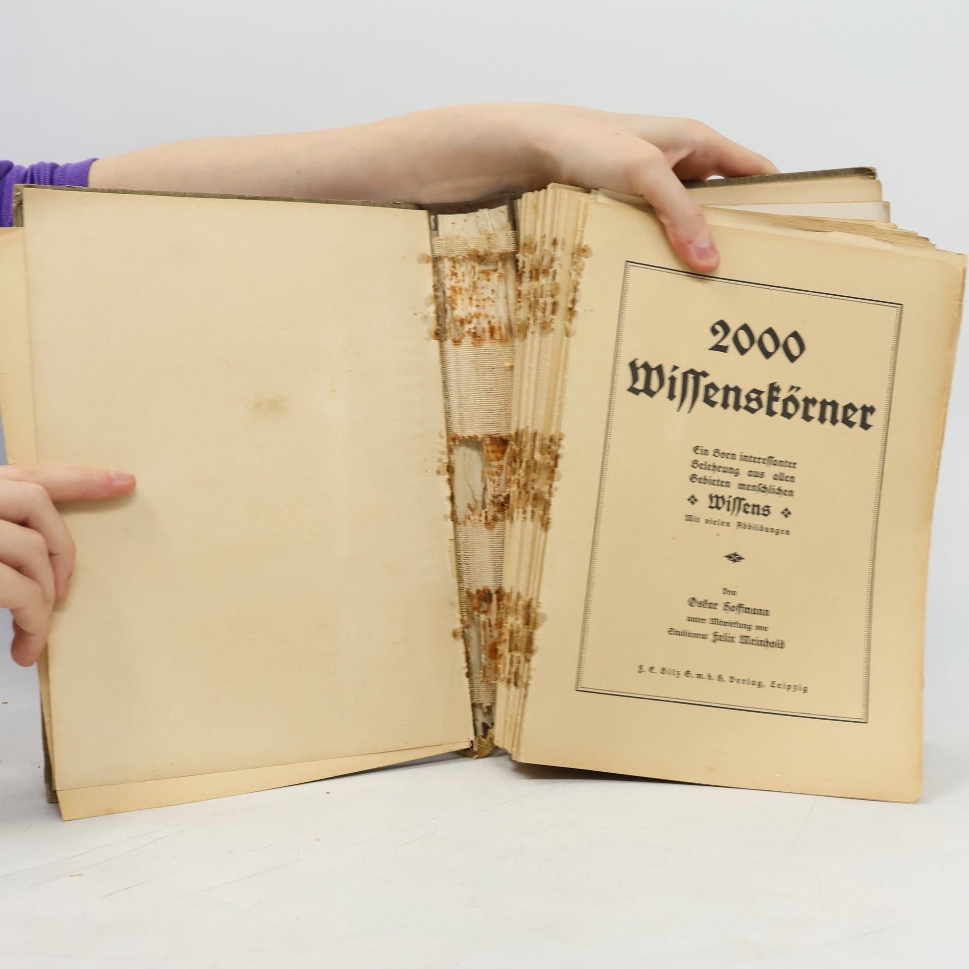 Oskar Hoffmann 2000 Wissenskörner