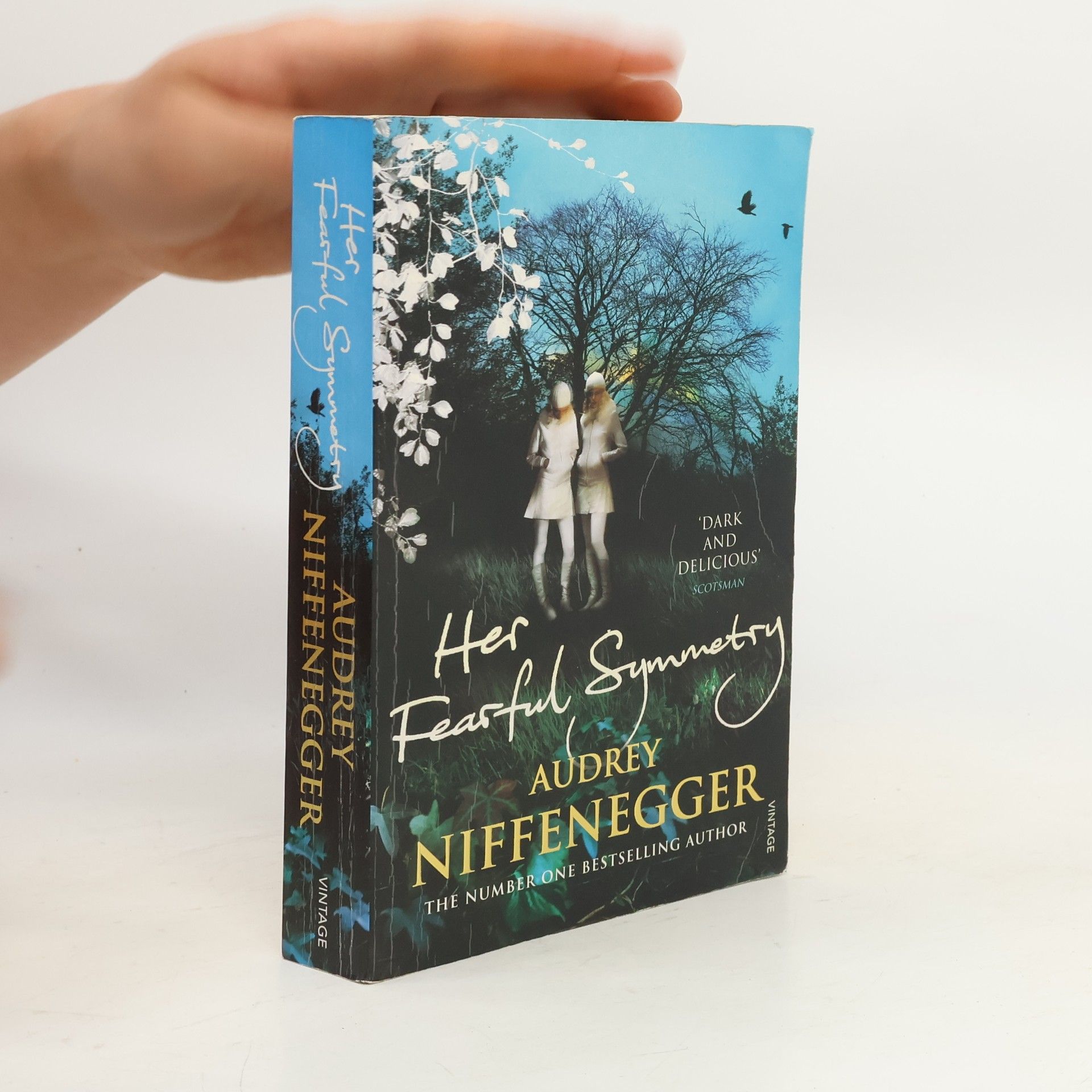 Audrey Niffenegger Her Fearful Symmetry