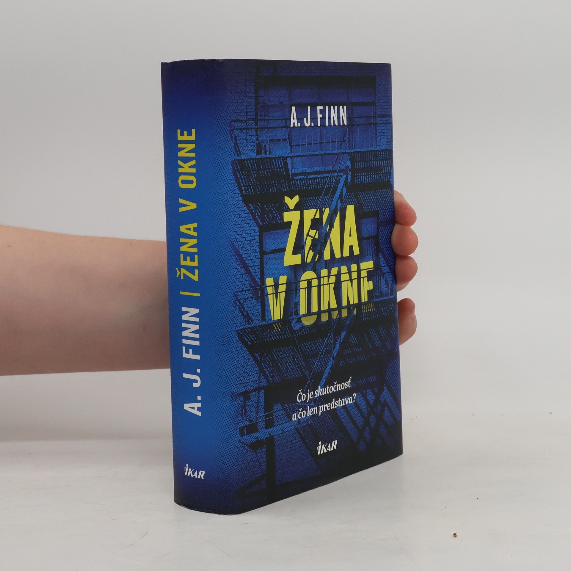 Daniel Mallory Žena v okne
