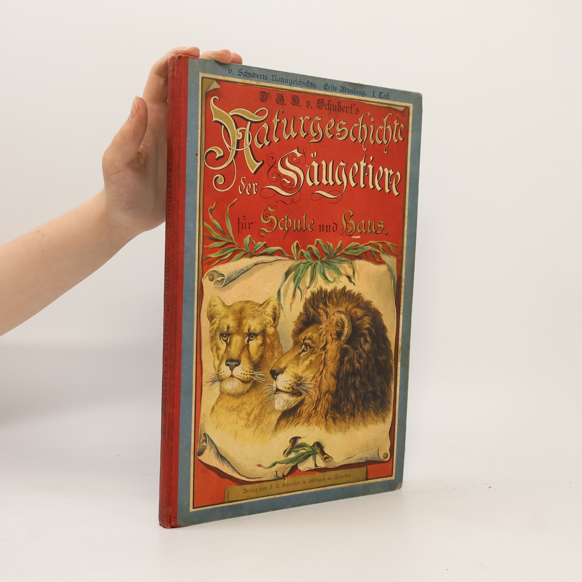G. H. v. Schubert Naturgeschichte der Säugetiere