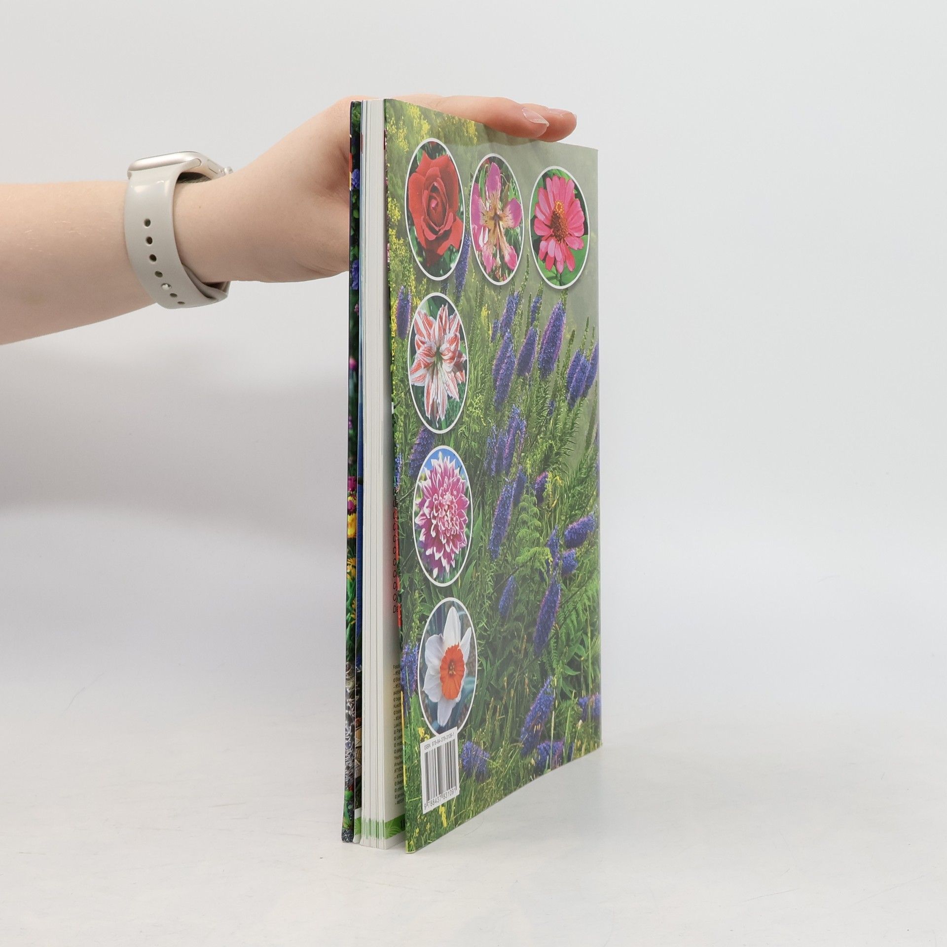 Various authors Madeiras Flora