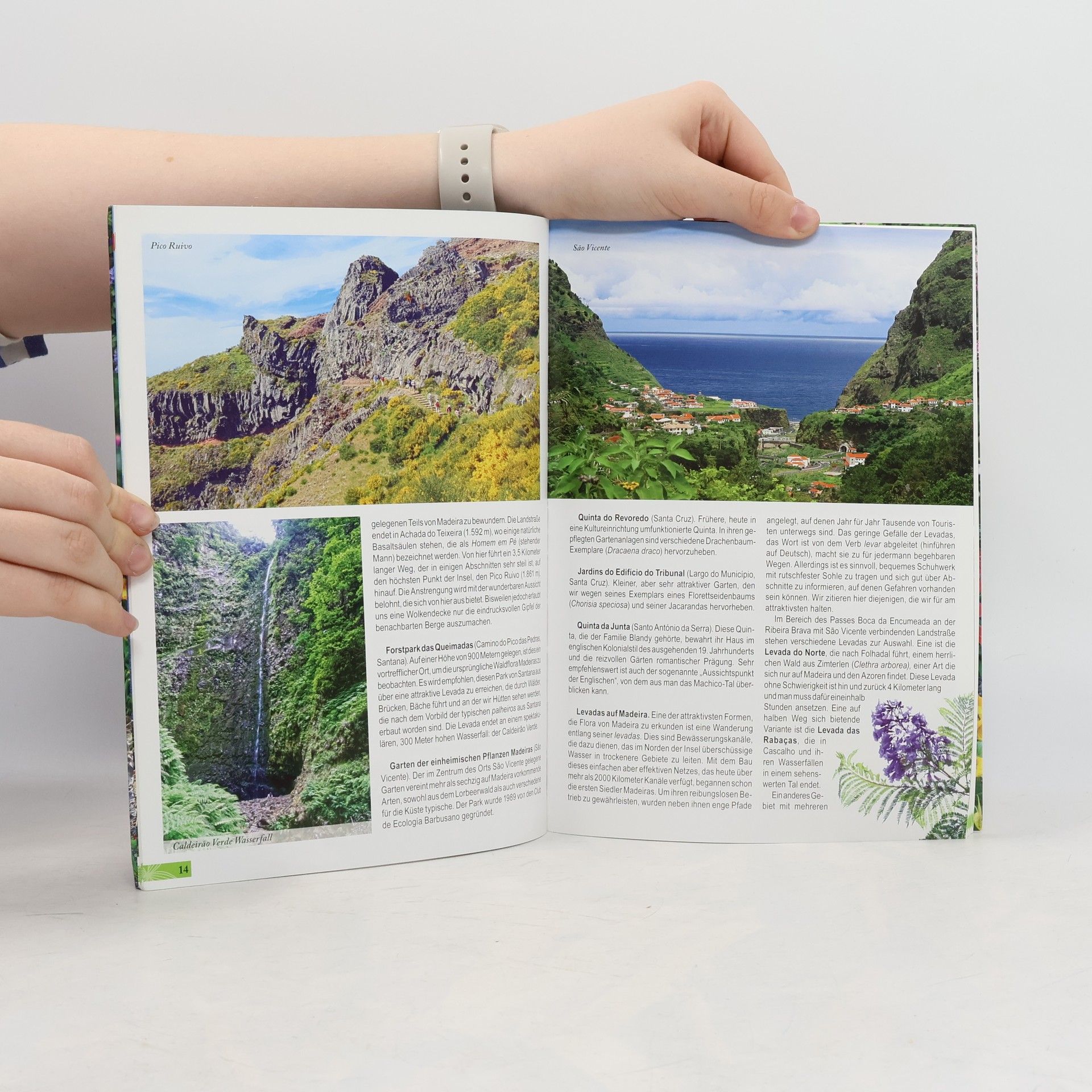 Various authors Madeiras Flora