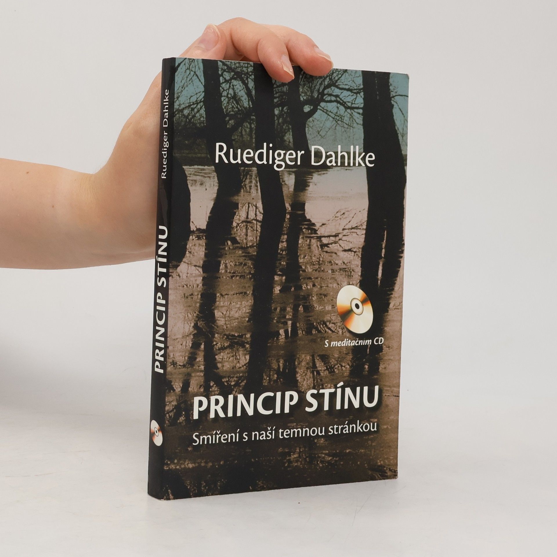 Ruediger Dahlke Princip stínu: Smíření s naší temnou stránkou