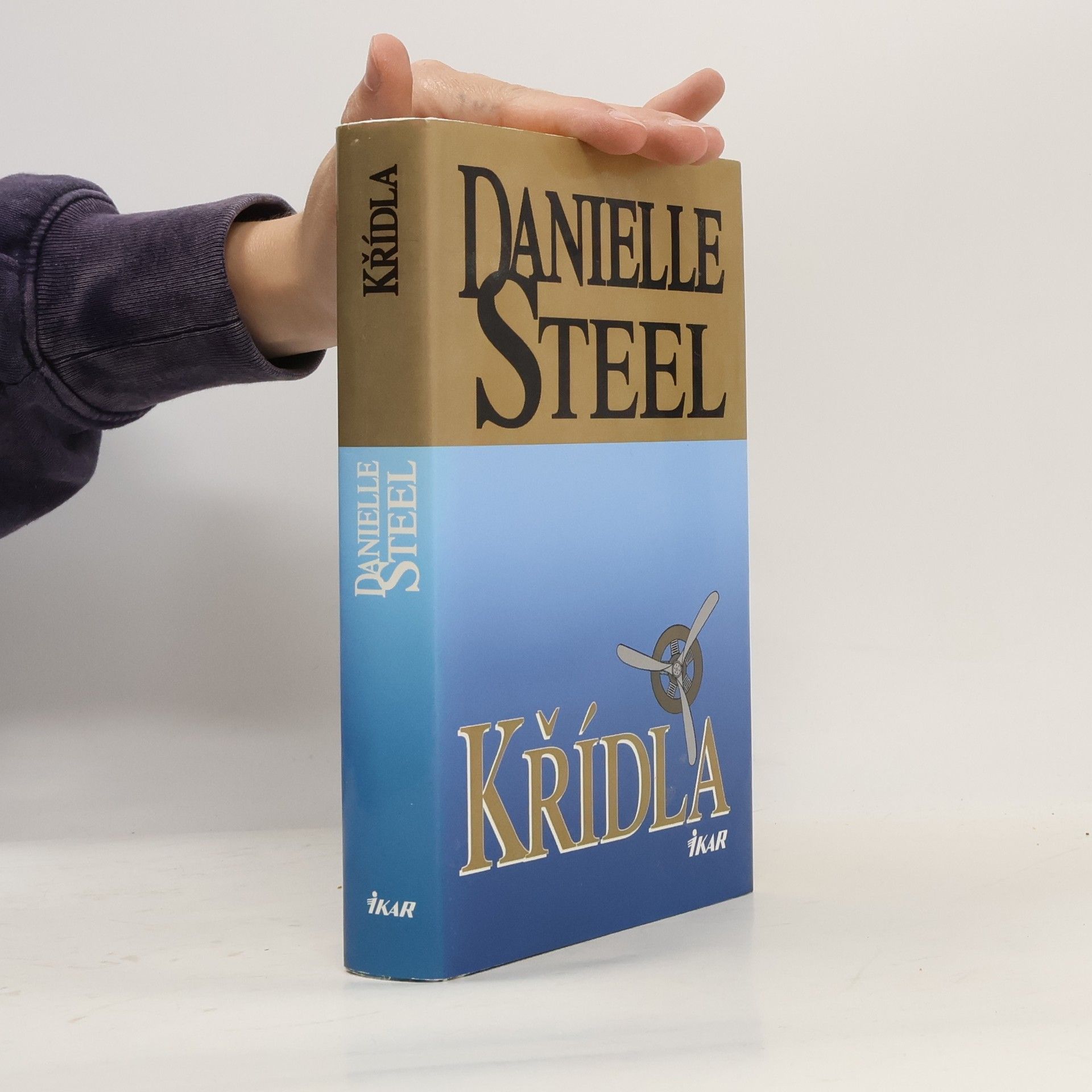 Danielle Steel Křídla