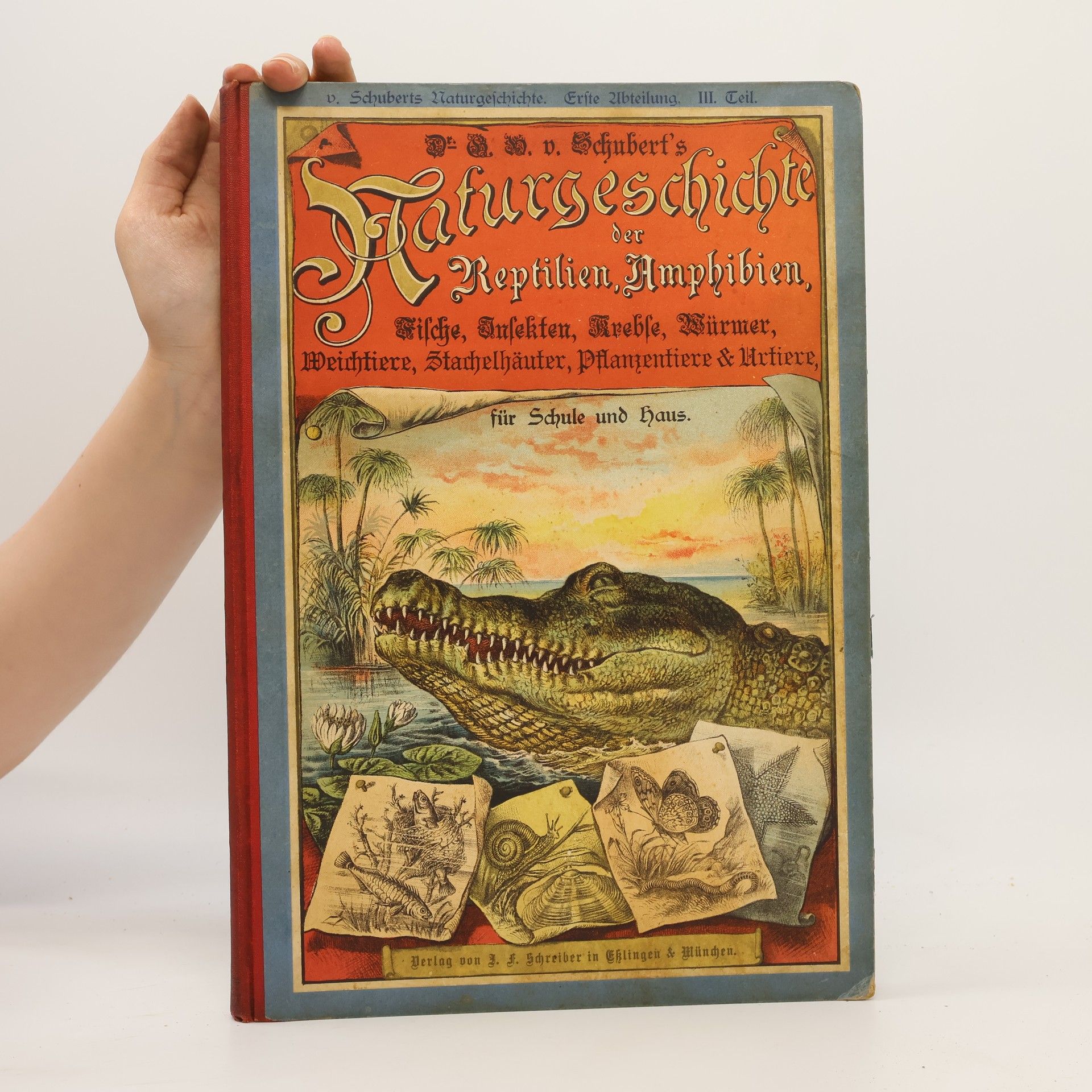 Gotthilf Heinrich von Schubert Naturgeschichte der Reptilien, Amphibien, Fische, Insekten, Krebstiere, Würmer
