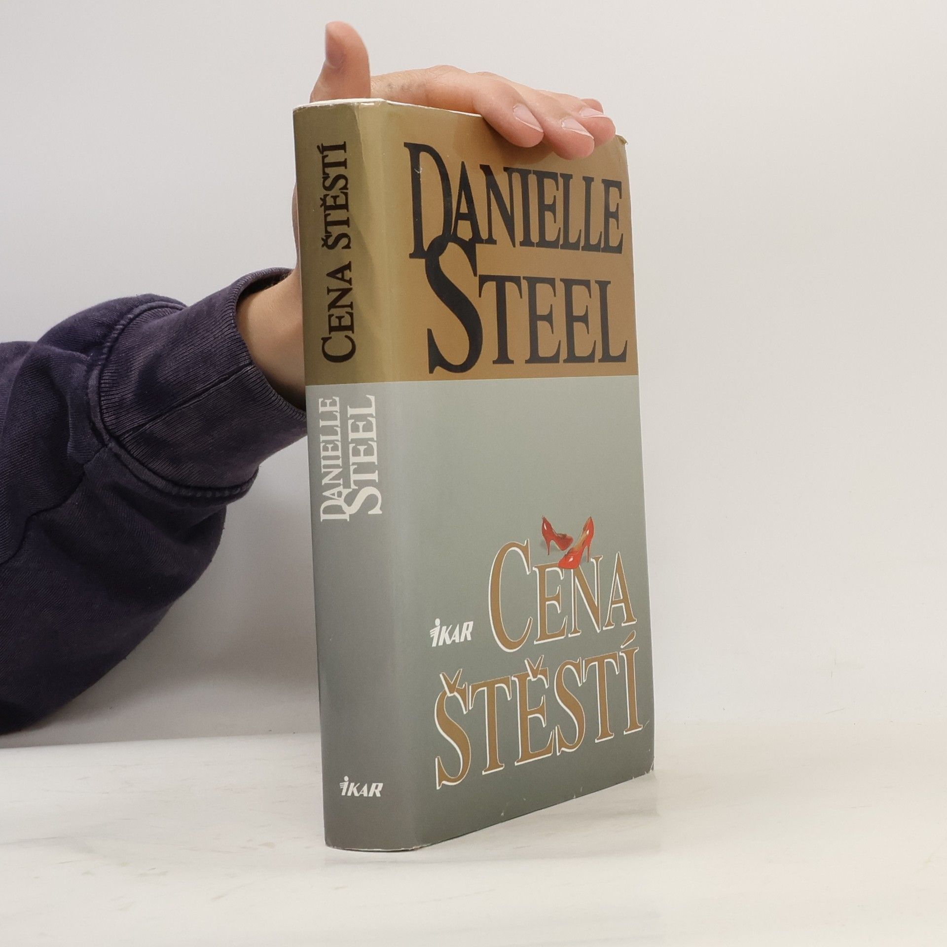 Danielle Steel Cena štěstí