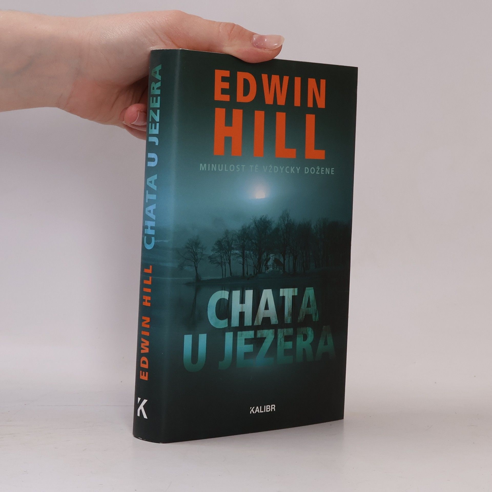 Edwin Hill Chata u jezera