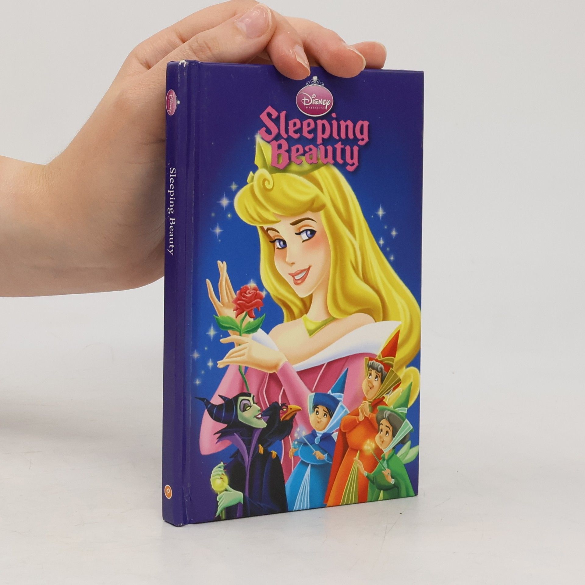 Walt Disney Disney Princess: Disney Sleeping Beauty