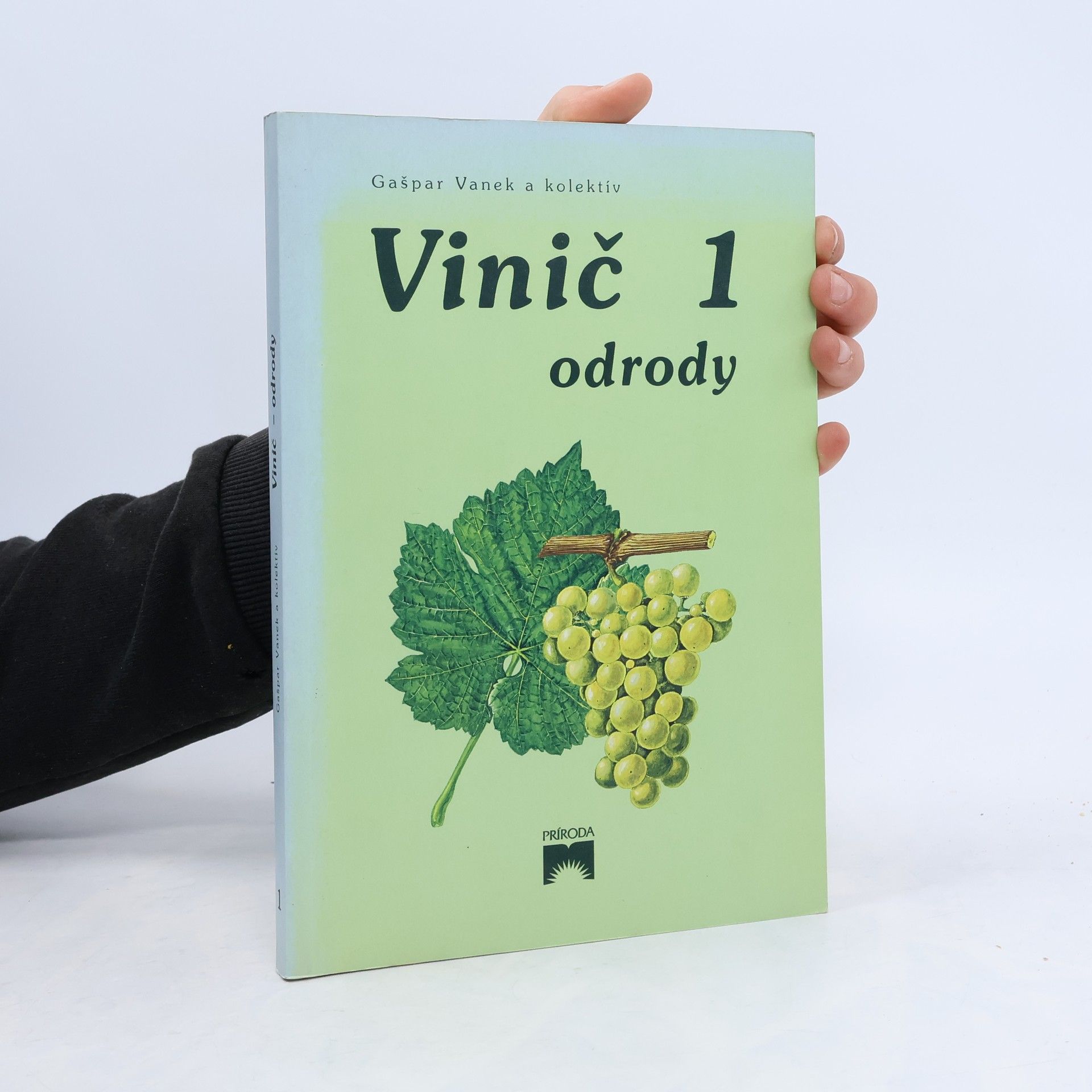 Gašpar Vanek Vinič 1. Odrody